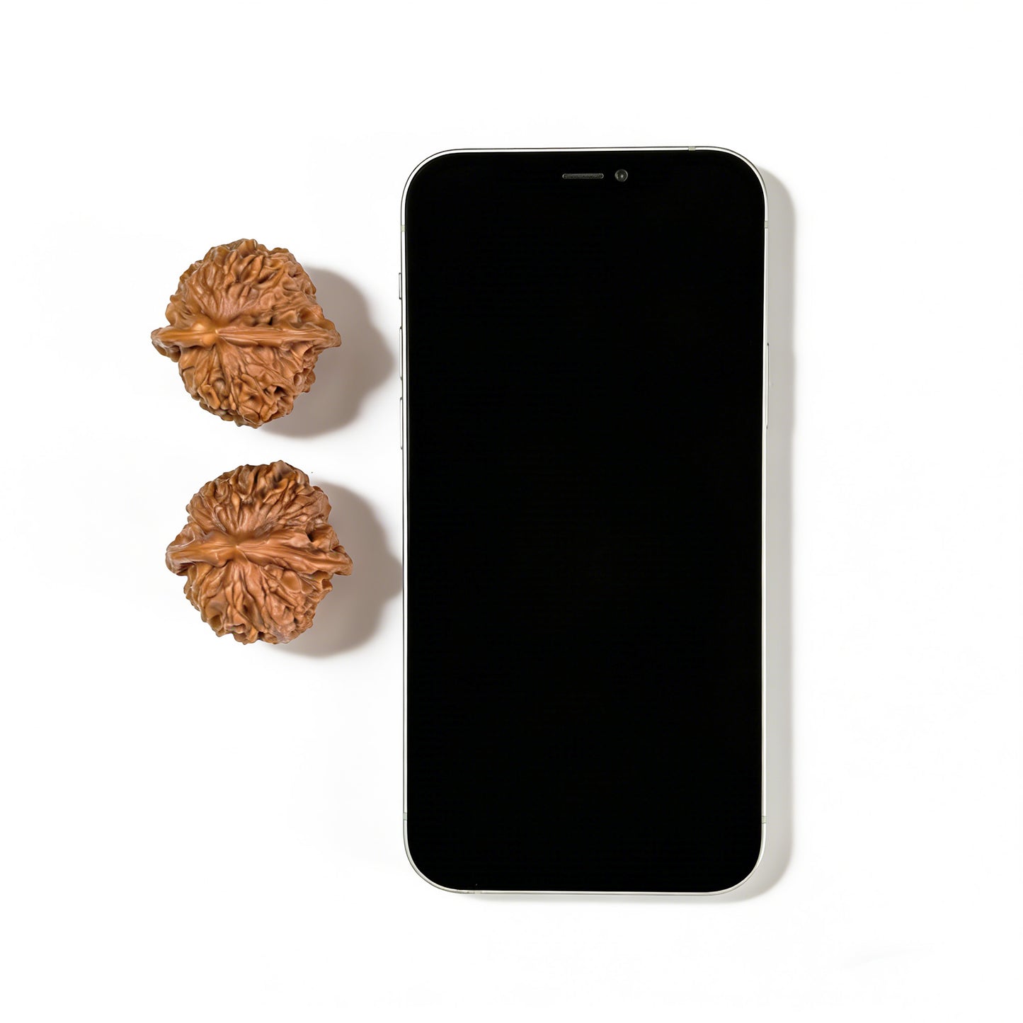 The "Dragon Gall" (Long Dan) Pair | 35.0mm x 34.0mm | LD-001