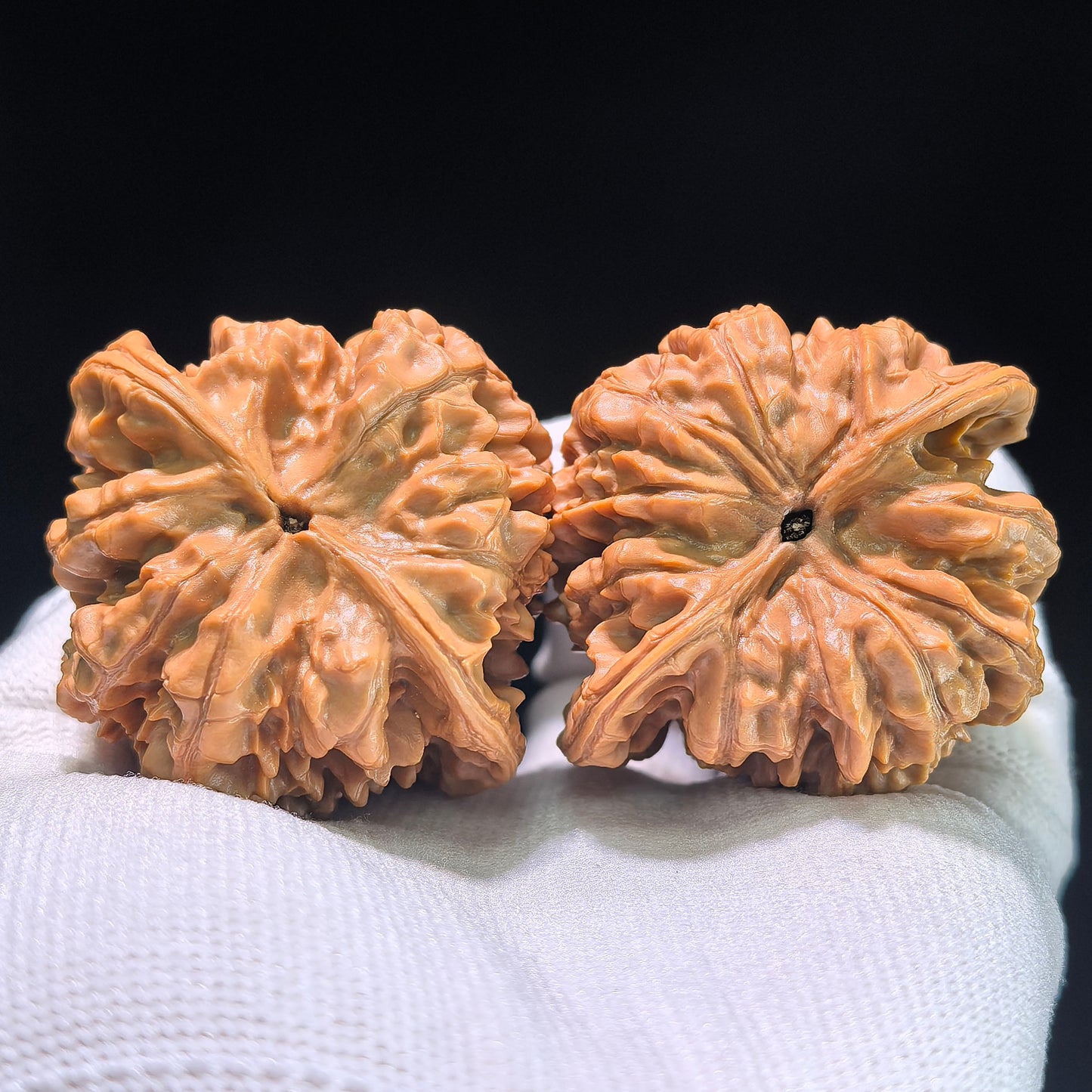 The "Heart-Shaped Concave Base Big Official Hat" Masterpiece Pair | 49.0mm x 45.0mm | DGM-1204C