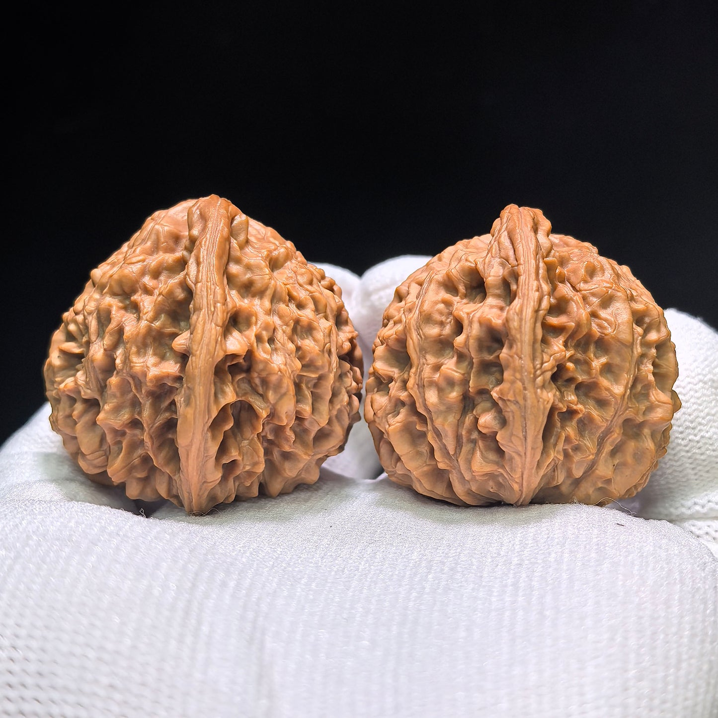 "Golden Kylin Hawk Beak Vulture" Jinqilin Yingzui Zuoshandiao Wenwan Walnuts Pair | 36.0mm x 39.0mm | JQLYZZSD-CG218E