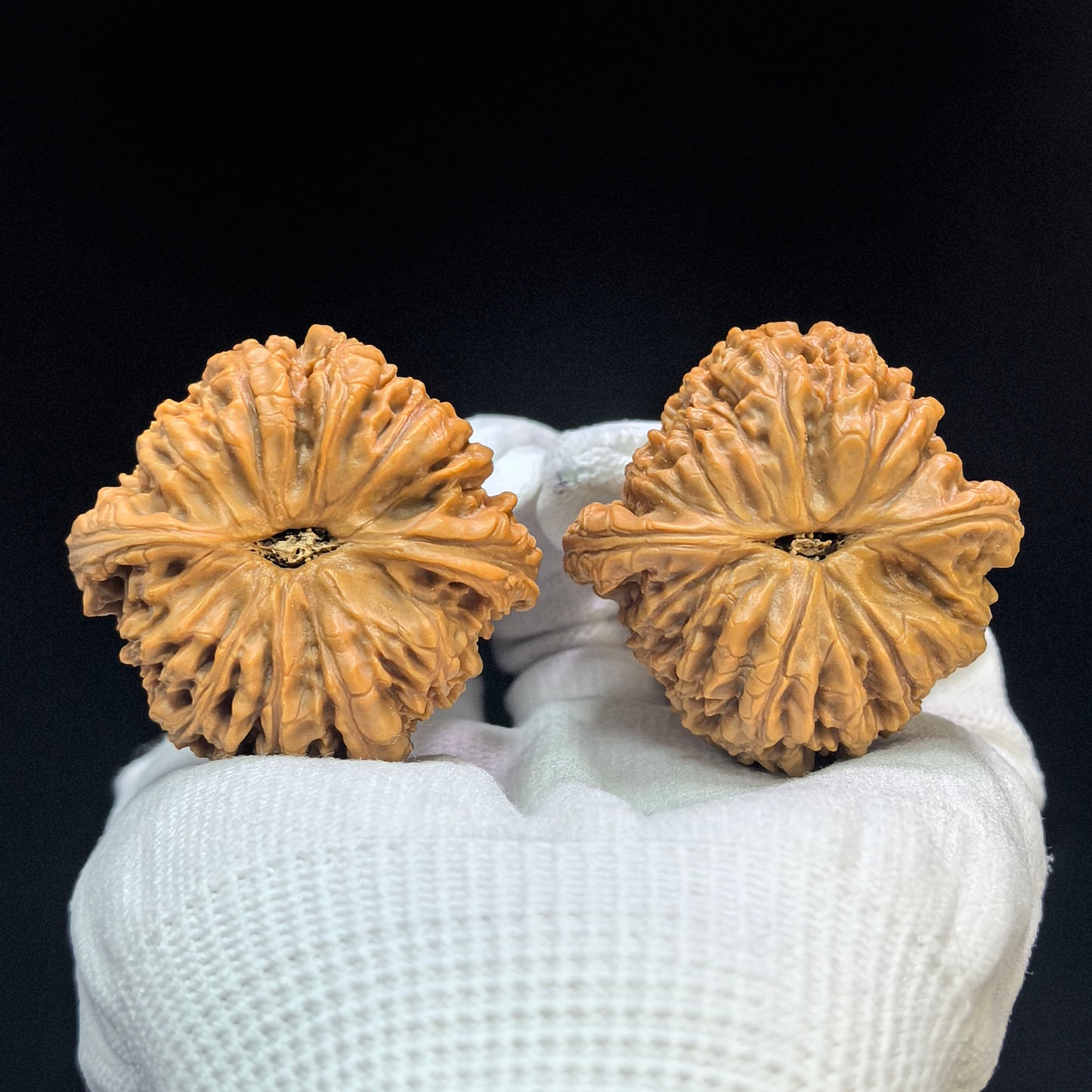 "Nanjiang Stone" Nanjiangshi Classic Heritage Wenwan Walnuts Pair | 43.0mm x 42.0mm | NJS-1504C