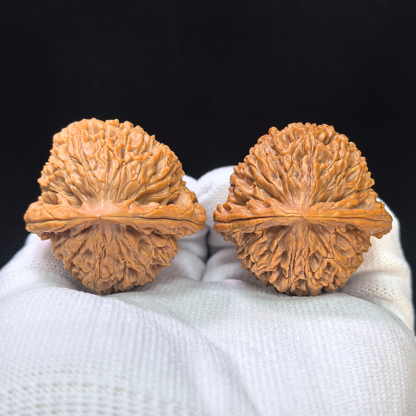 "Water Dragon Texture" Shui Long Wen SLW-1502C Low-Profile Wenwan Walnuts Pair | 40.0mm x 39.0mm | SLW-1502C