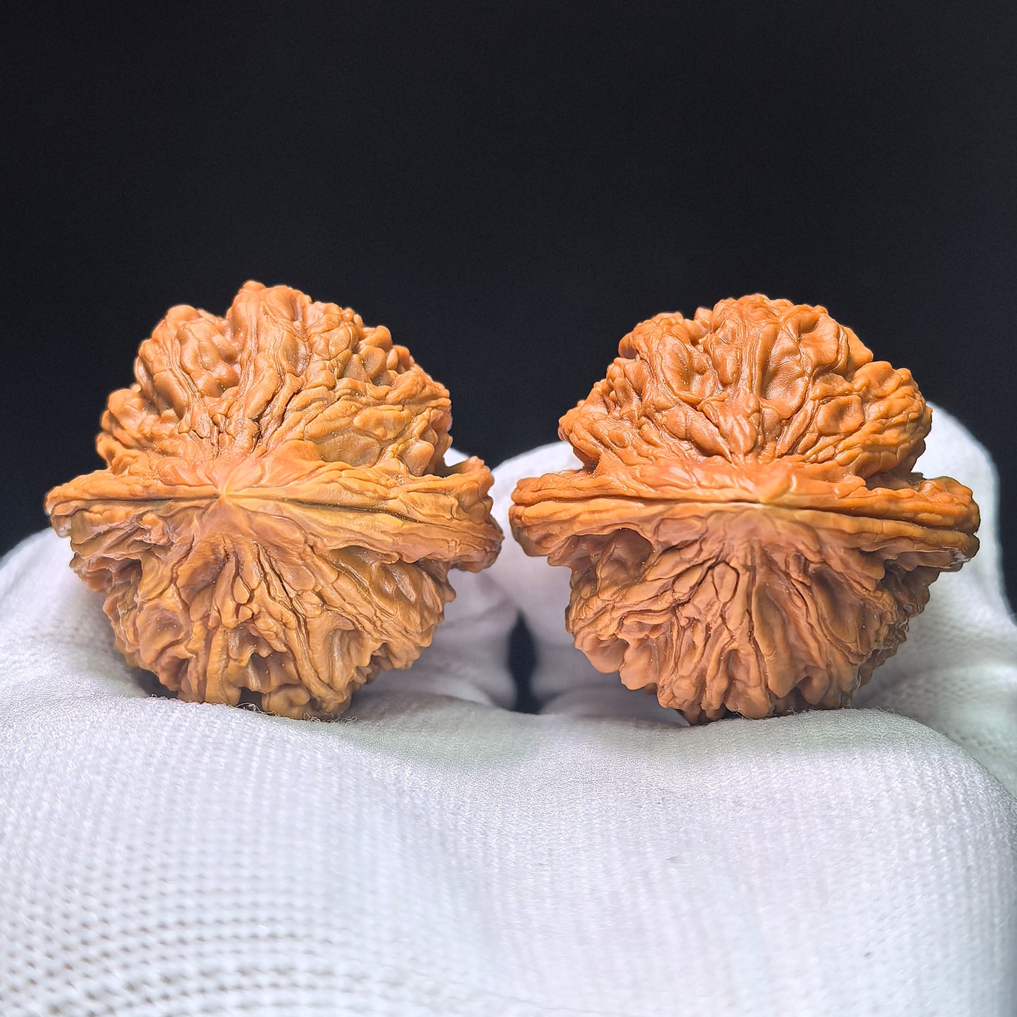 The "Great Weathered Rock" (Da Ku Shi) Premium Low-Profile Pair | 43.0mm x 42.0mm | DKS-1301C