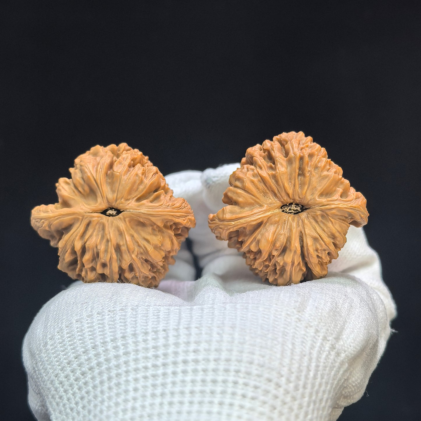 "Tri-Rib Nanjiangshi" Three-Sided Nanjiangshi Wenwan Walnuts (Pair) | 41.0mm x 40.0mm | Stock ID: NJS-1505C