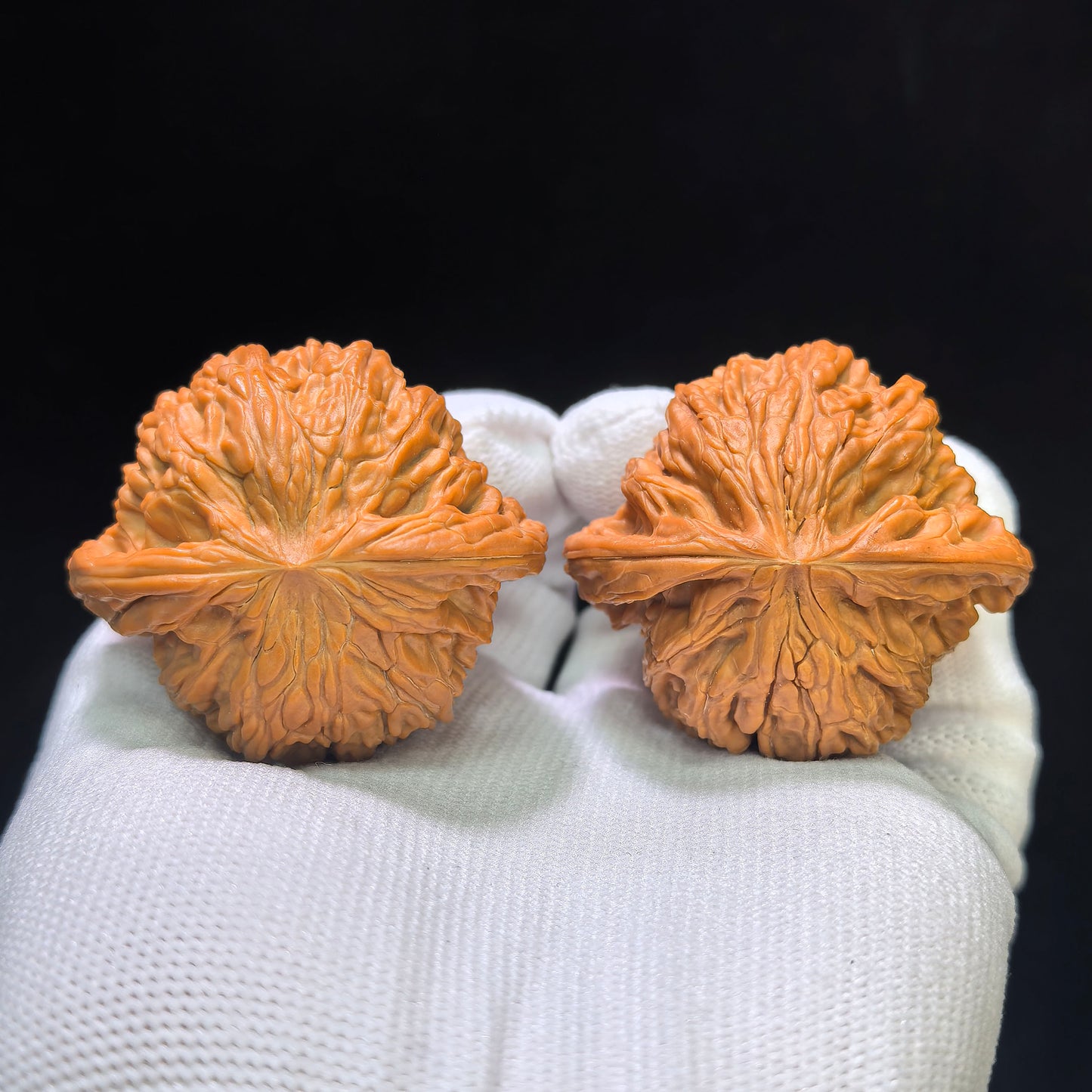 "Butterfly Millstone" Butterfly Mopan Wenwan Walnuts (Pair) | 46.0mm x 42.0mm | Stock ID: HDMP-1551C