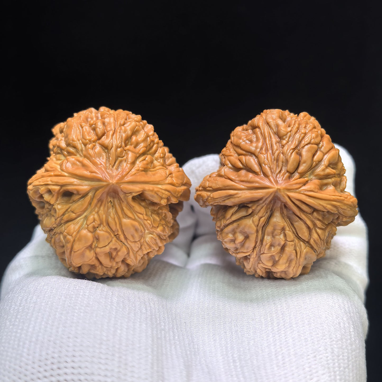 "Chubby Pier" Mendun Wenwan Walnuts Pair | 42.0mm x 45.0mm | MD-1501C