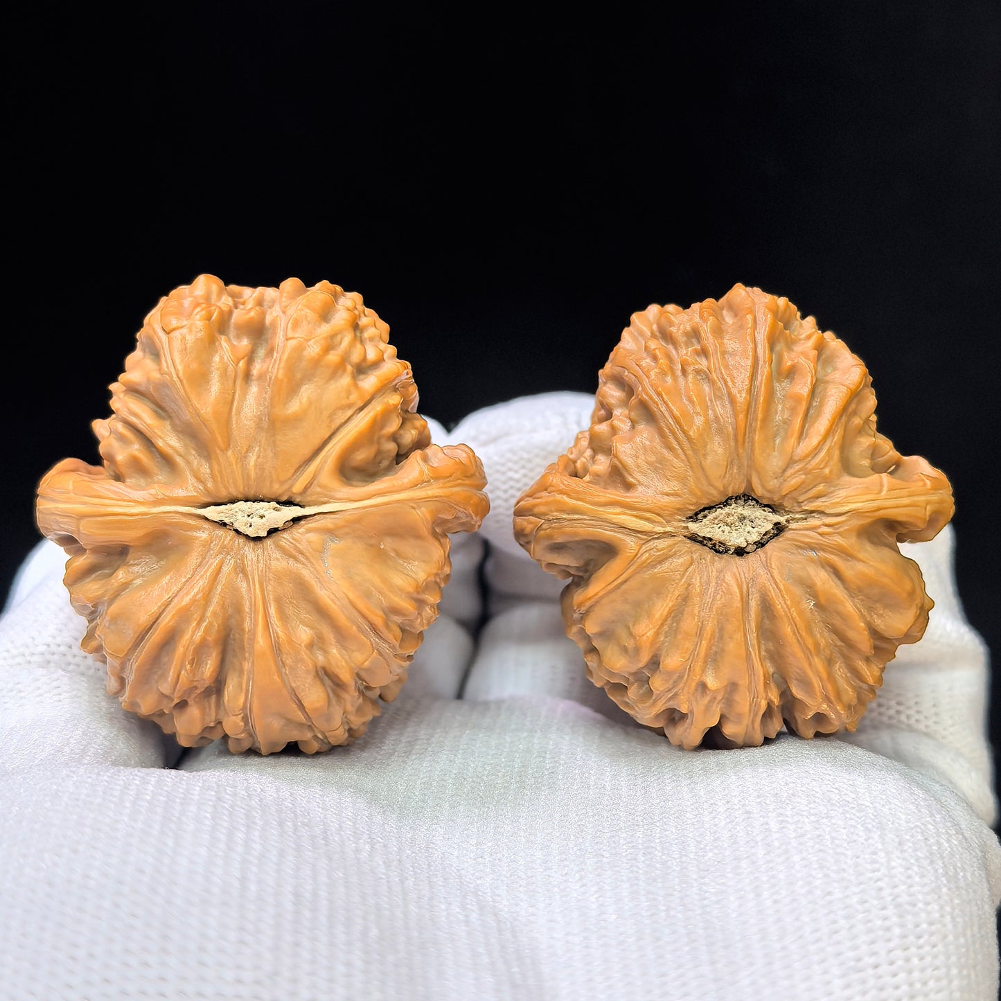 "White Lionhead" Baishizi BSJ-SY1C1 Low-Profile Wenwan Walnuts Pair | 39.0mm x 41.0mm | BSJ-SY1C1