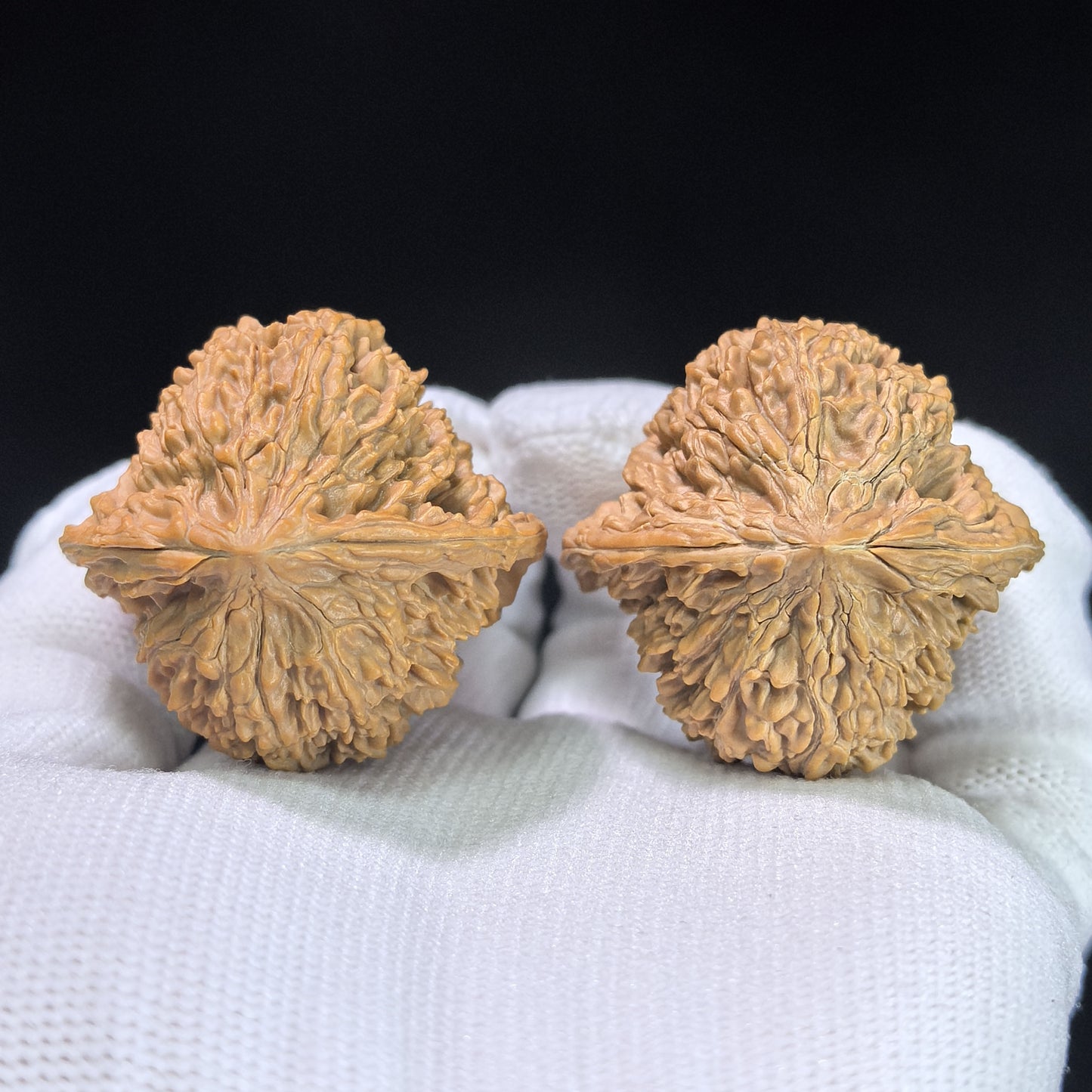 "Peach Heart Concave Base Starry Sky" Mantianxing Wenwan Walnuts Pair | 38.0mm x 37.0mm | MTX-1410