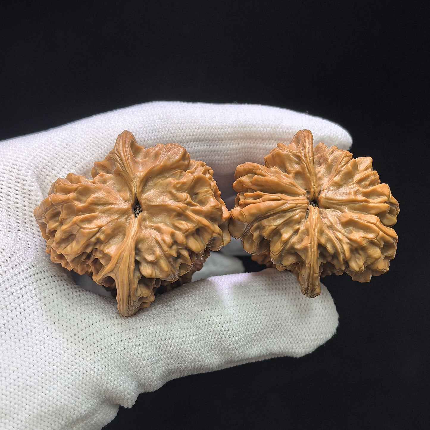 Gourd of Fortune and Prosperity" (Fulu Hulu) Scholar Walnuts Pair | 38.0mm x 39.0mm | Elite Biomorphic Silhouette | Singularities Grade Masterpiece | Stock ID: FLHL-02