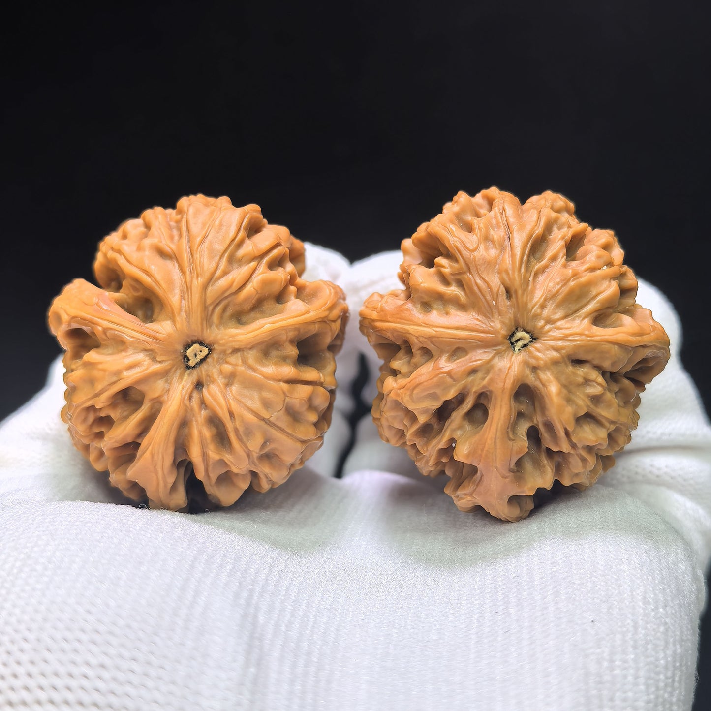 Three-Ribbed "Nine Dragons Sinew" (Jiulongjin Sanling) Scholar Walnuts Pair | 38.0mm x 41.0mm | Deep-Belly Geometry | Singularities Grade Masterpiece | Stock ID: JLJSN-1401E