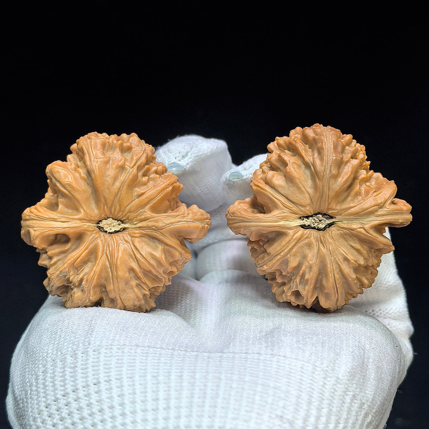 "Spherical White Lionhead" Qiuxing Baishizi QXBSJ-1506C Low-Profile Wenwan Walnuts Pair | 44.0mm x 44.0mm | QXBSJ-1506C