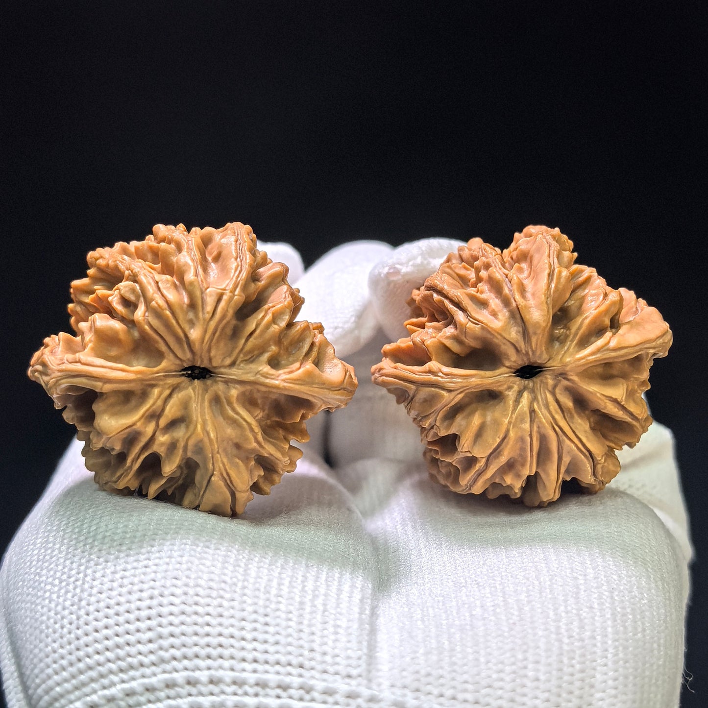 "Sky-Reaching Eight-Ribbed" Tongtianba Wenwan Walnuts Pair | 39.0mm x 36.0mm | TTB-1103