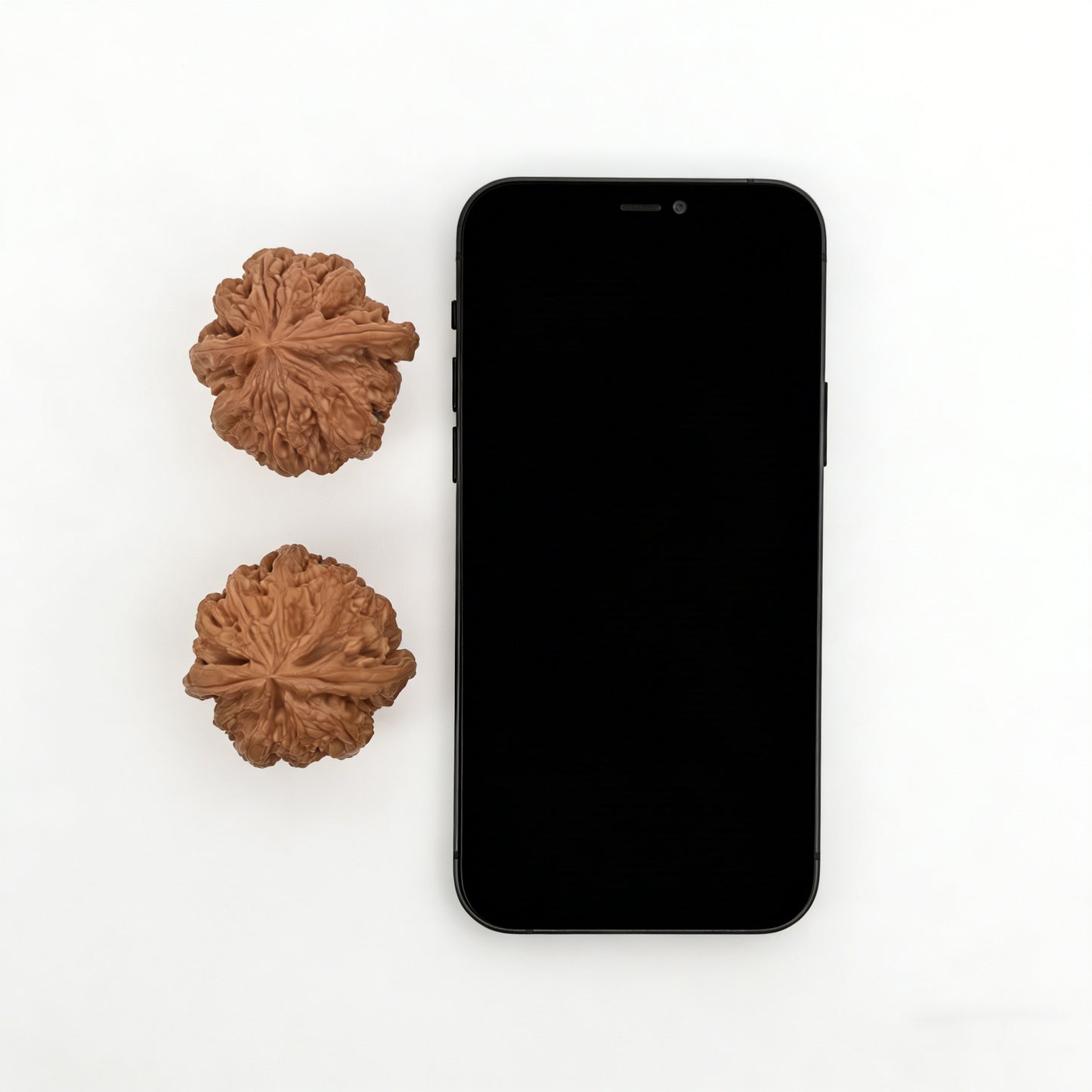 The "Tendon Vein" (Cujin) Pair | 42.0mm | CJ-01