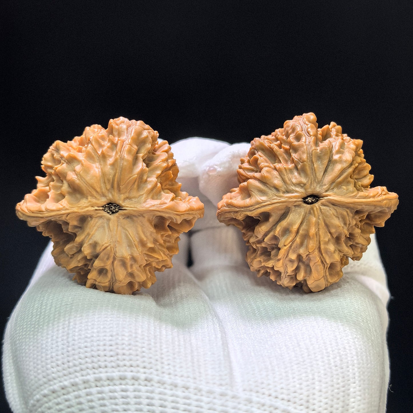"Wild Cultivar" Yesheng Wenwan Walnuts (Pair) | 41.0mm x 41.0mm | Stock ID: YS-1102