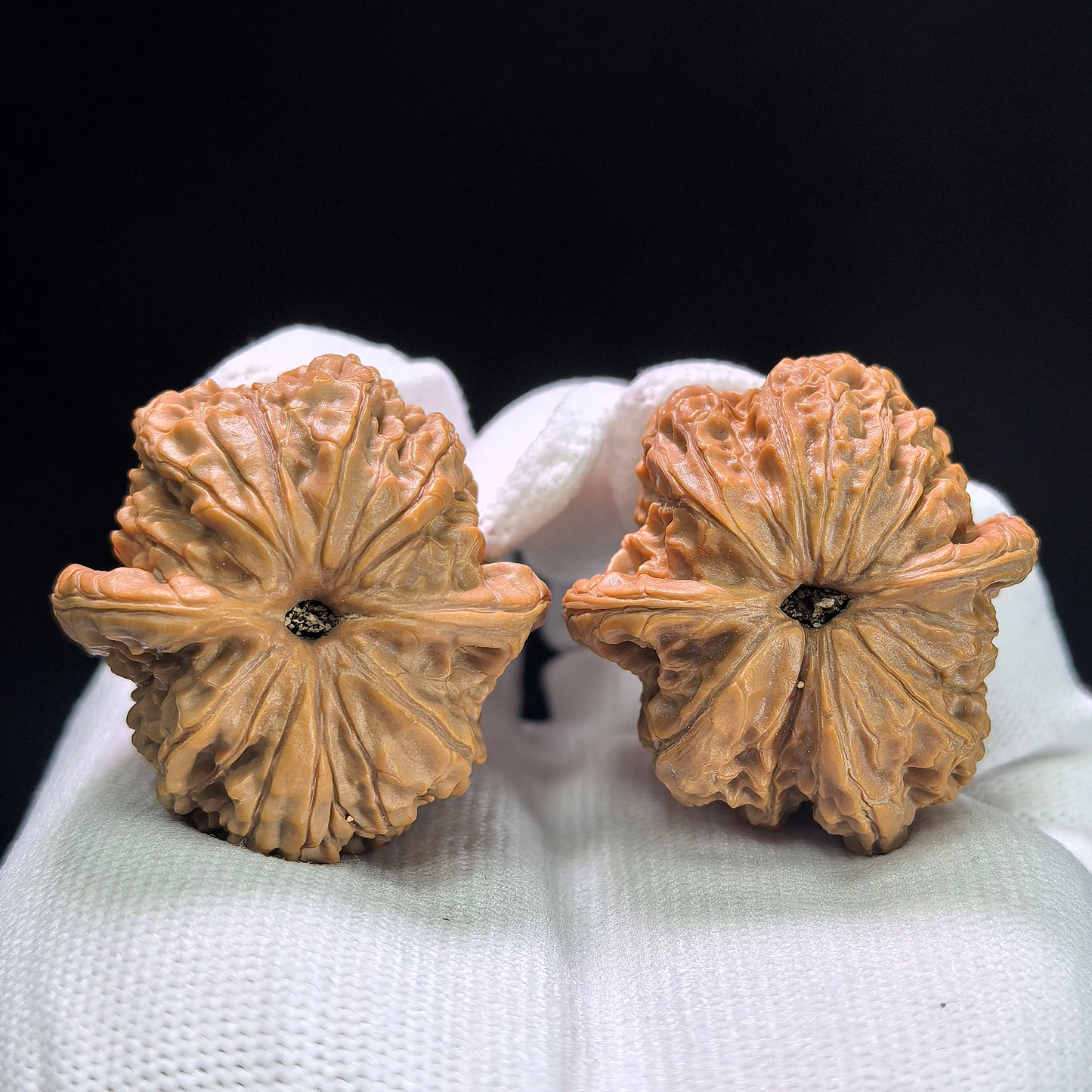 "Blood Kylin" Xueqilin Wenwan Walnuts (Pair) | 38.0mm x 39.0mm | Stock ID: XQL-1401