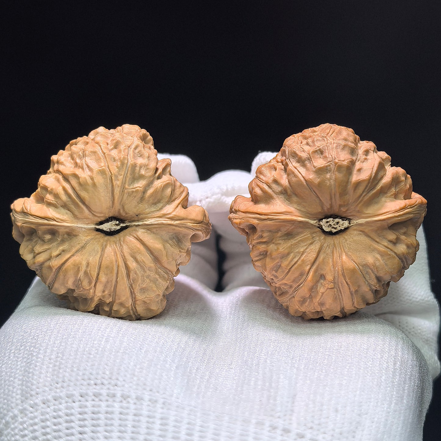 The "Imperial Tall-Posture Pumpkin" (Nan Gua Dun Gao Chun) Premium Scholar Walnuts | 41.0mm x 41.0mm | 1:1 Perfect Isometric Match | NGD-1404