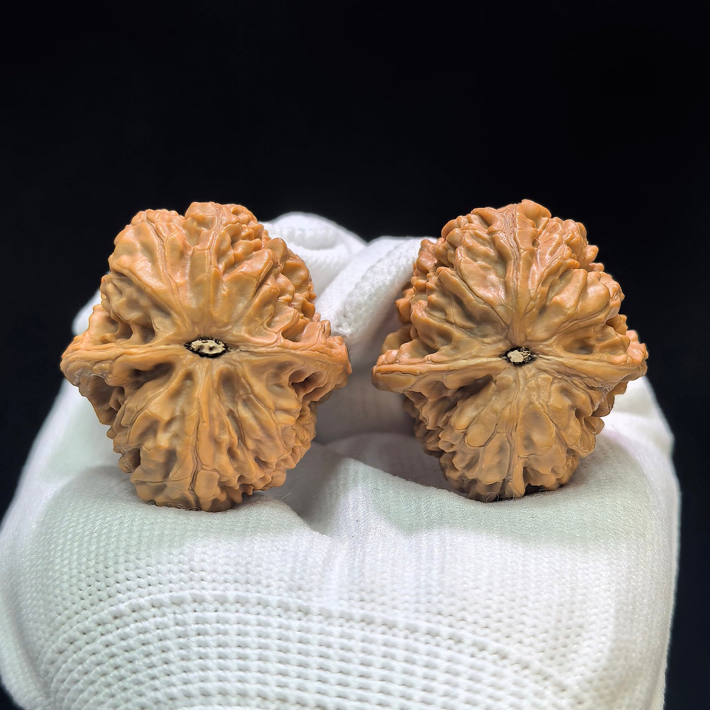 "Red Brocade Carp" Hong Jinli HJL-1601 Low-Profile Wenwan Walnuts Pair | 34.0mm x 38.0mm | HJL-1601