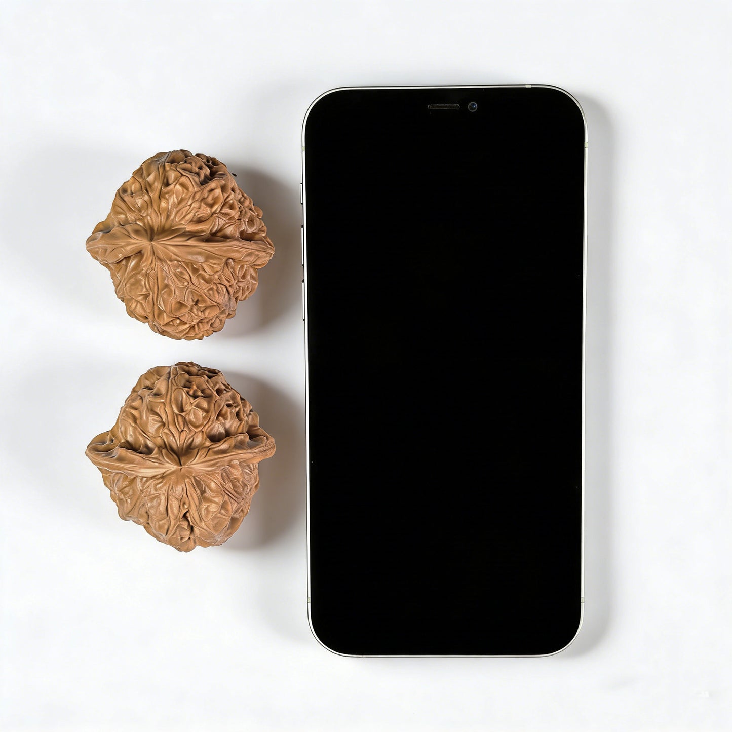 The "Pumpkin Block" (Nan Gua Dun) Pair | 45.0mm x 40.0mm | NGD-04