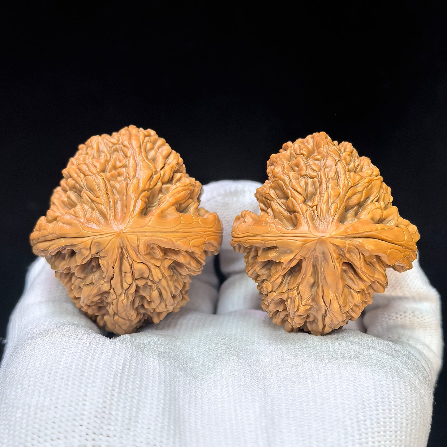 "Jixian Tiger Head King" Jixian Hutouwang JSHTW-SY1F1 Low-Profile Wenwan Walnuts Pair | 43.0mm x 45.0mm | JSHTW-SY1F1