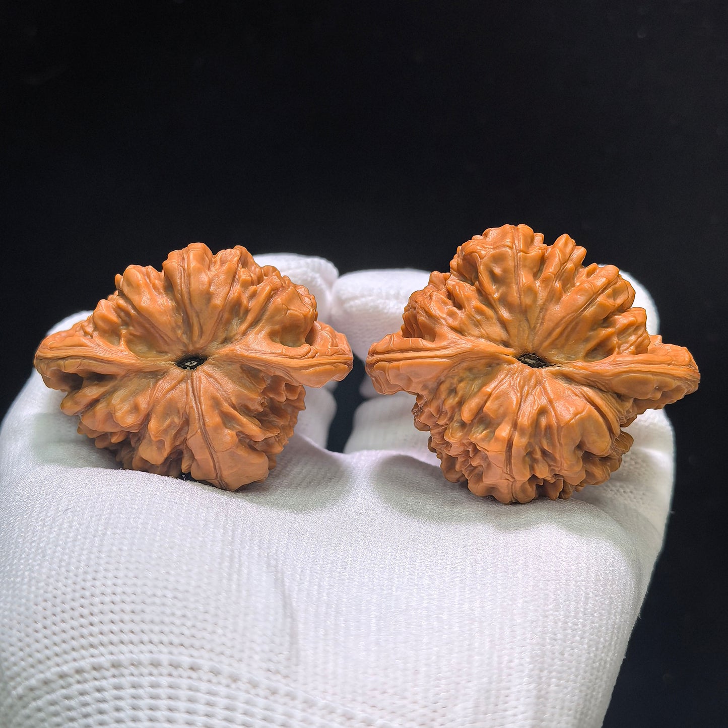 "Kylin Texture Snake Head Treasure Bowl" Qilinwen Shetou Jubaopen Wenwan Walnuts Pair | 50.0mm x 47.0mm | QLWSTJBP-CG212E