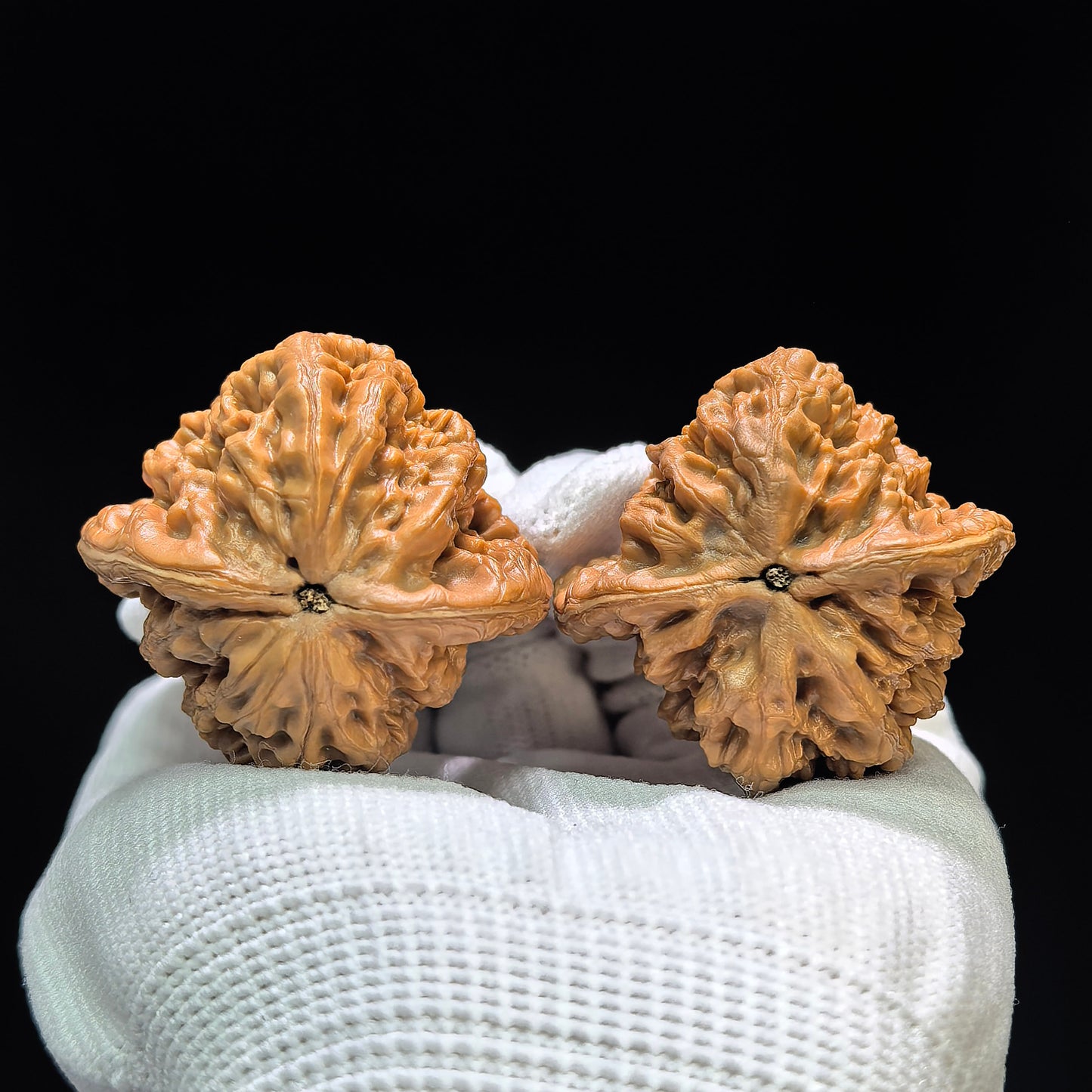"Golden Noble" Jin Gongzi JGZ-1601 Low-Profile Wenwan Walnuts Pair | 40.0mm x 39.0mm | JGZ-1601