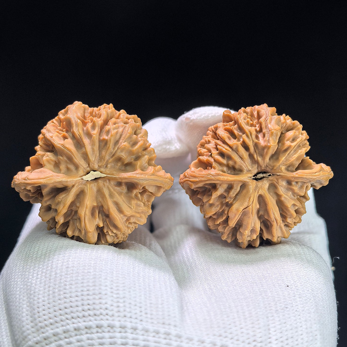 "Concave Base Peach Heart Starry Sky" Taoxin Aodi Mantianxing MTX-1407 Low-Profile Wenwan Walnuts Pair | 40.0mm x 37.0mm | MTX-1407