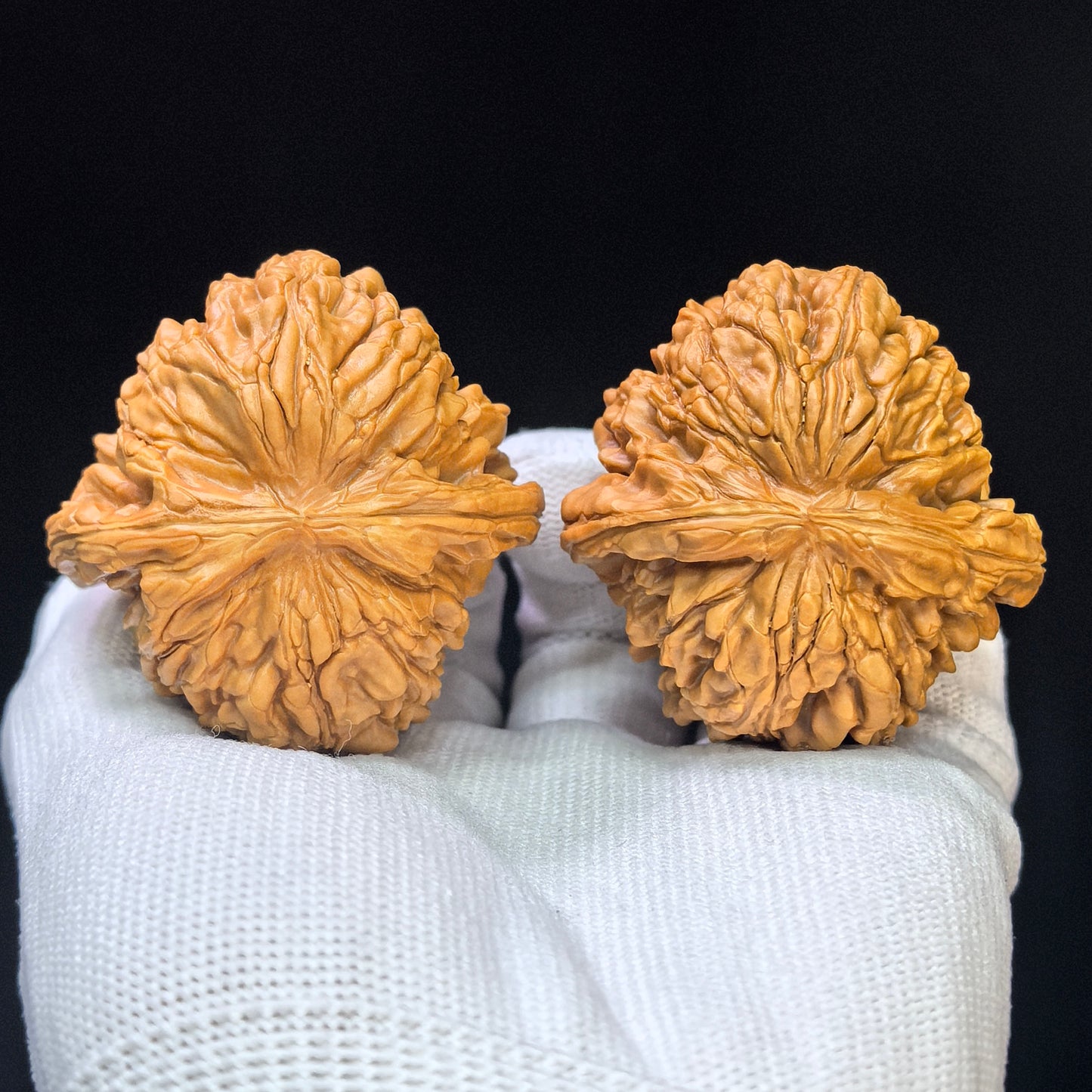 "Hua Kun Dragon" Huakunlong HKL-17E3 Low-Profile Wenwan Walnuts Pair | 47.0mm x 49.0mm | HKL-17E3