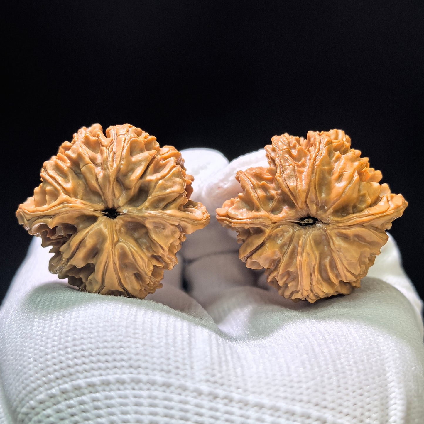 "Sky-Piercing Eight-Rib" Tongtian Ba TTB-1102 Low-Profile Wenwan Walnuts Pair | 35.0mm x 34.0mm | TTB-1102