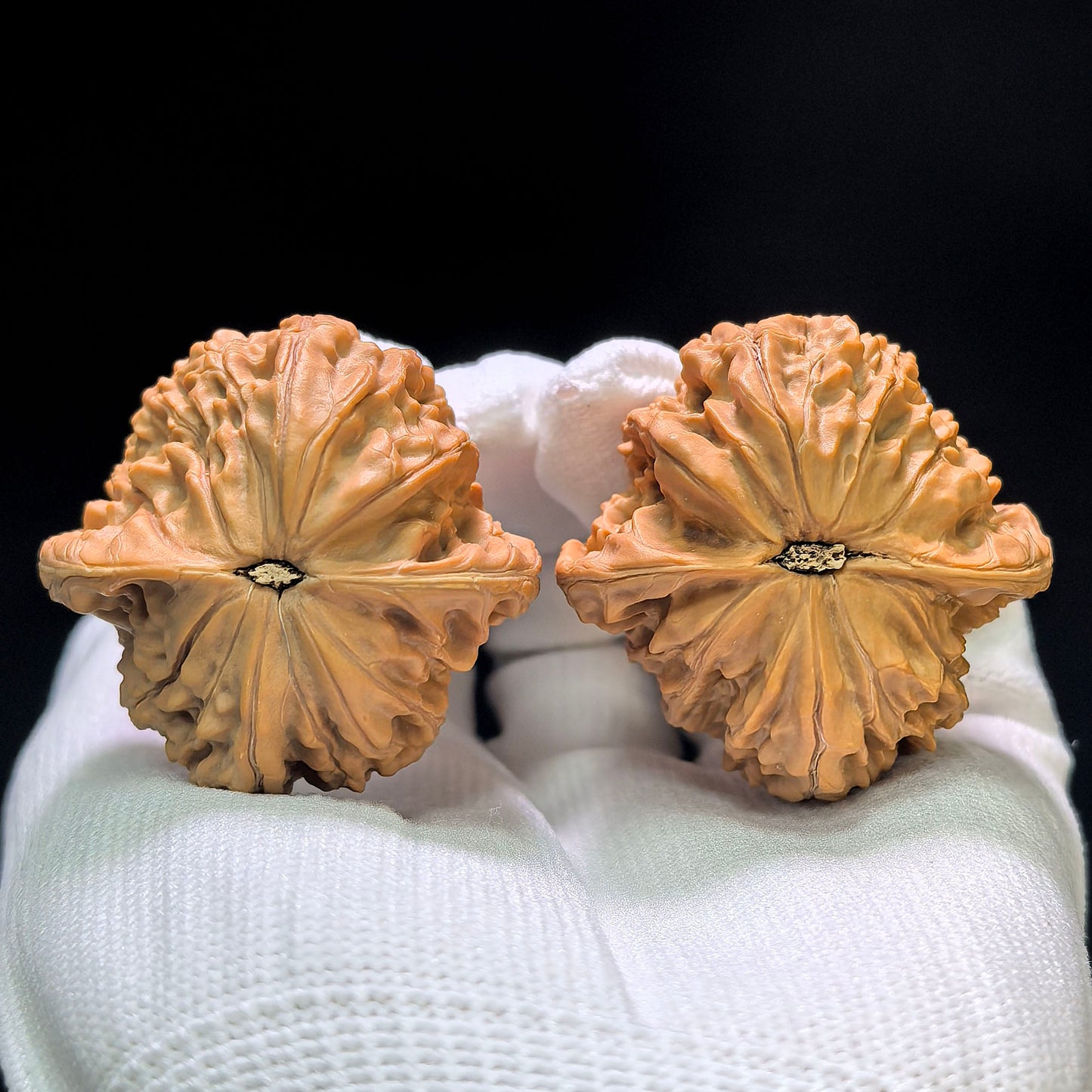 "Wild Millstone Angel Wings" Ye Mopan Tianshi Zhiyi Wenwan Walnuts (Pair) | 40.0mm x 40.0mm | Stock ID: YMPTSZY-1401