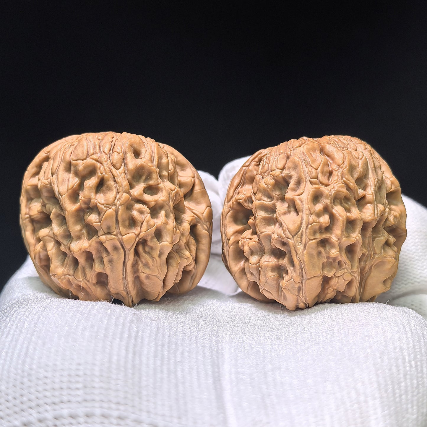 The Mighty "Door Pier Sitting Mountain Eagle" Mendun Zuoshandiao Masterpiece | 40.0mm x 42.0mm | MDZSD-402E