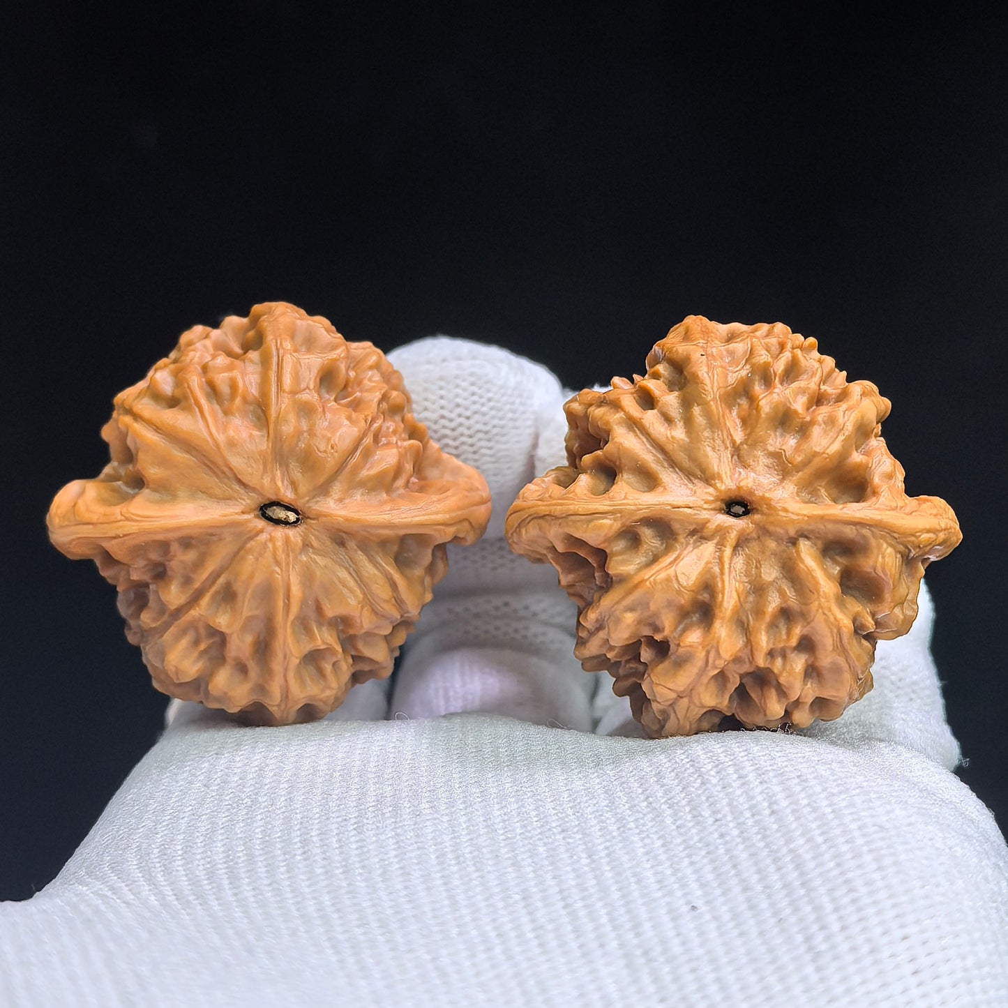 "Porcelain Doll" Ciwawa CWW-17B4C Low-Profile Wenwan Walnuts Pair | 38.0mm x 37.0mm | CWW-17B4C