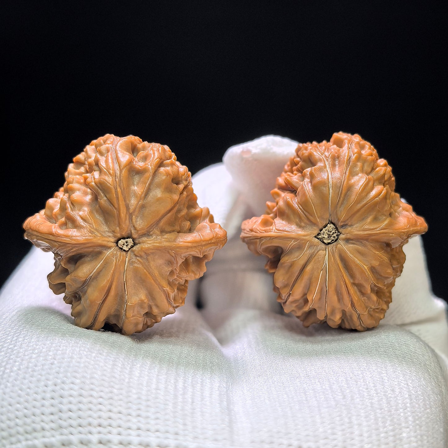 "Wild Pebble Millstone" Ye Sheng Shizi Mopan Wenwan Walnuts (Pair) | 34.0mm x 35.0mm | Stock ID: SZMP-1401