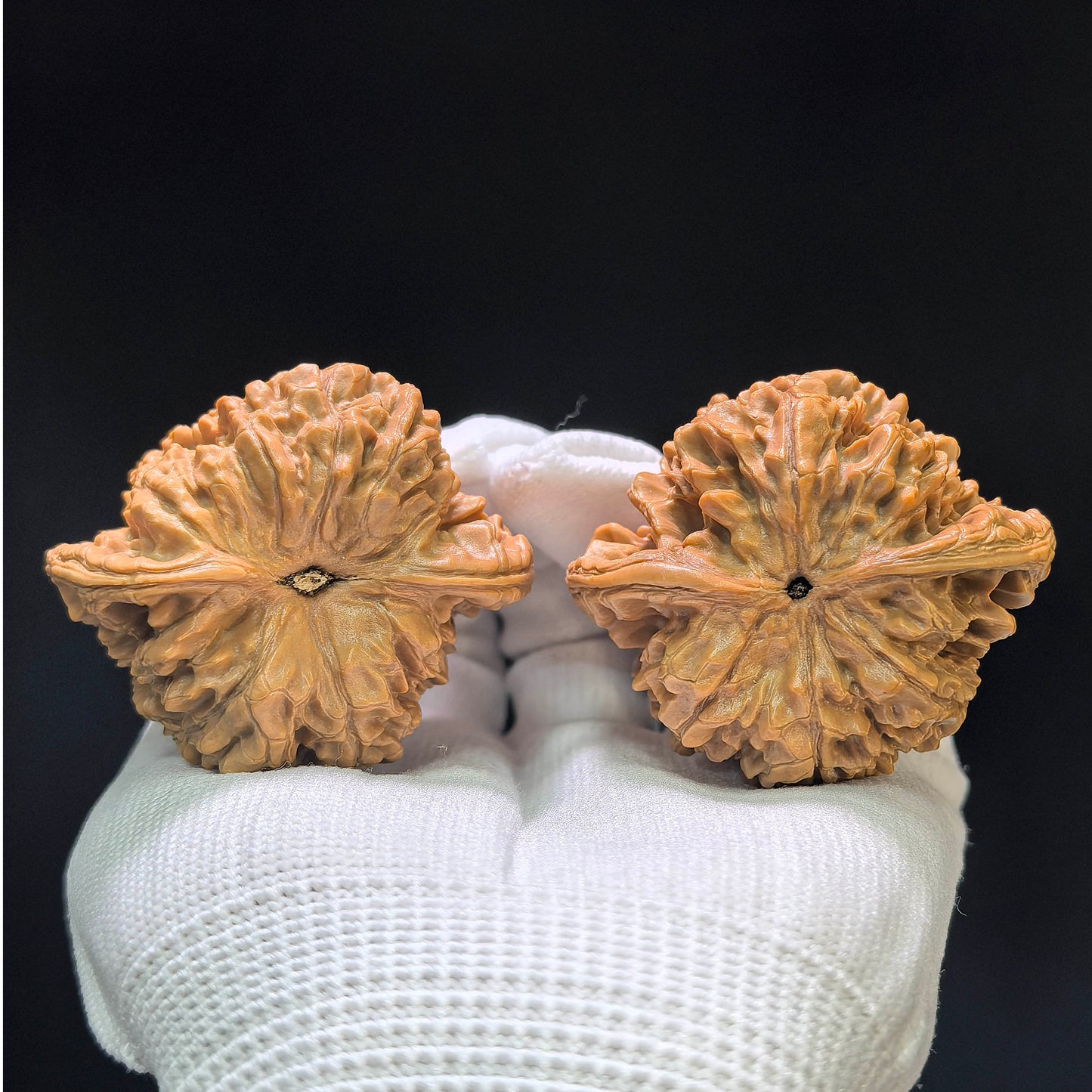 "Large Official Hat Peach Heart Concave Base" Daguanmao Taoxin Aodi Wenwan Walnuts Pair | 50.0mm x 43.0mm | ADDGM-1101