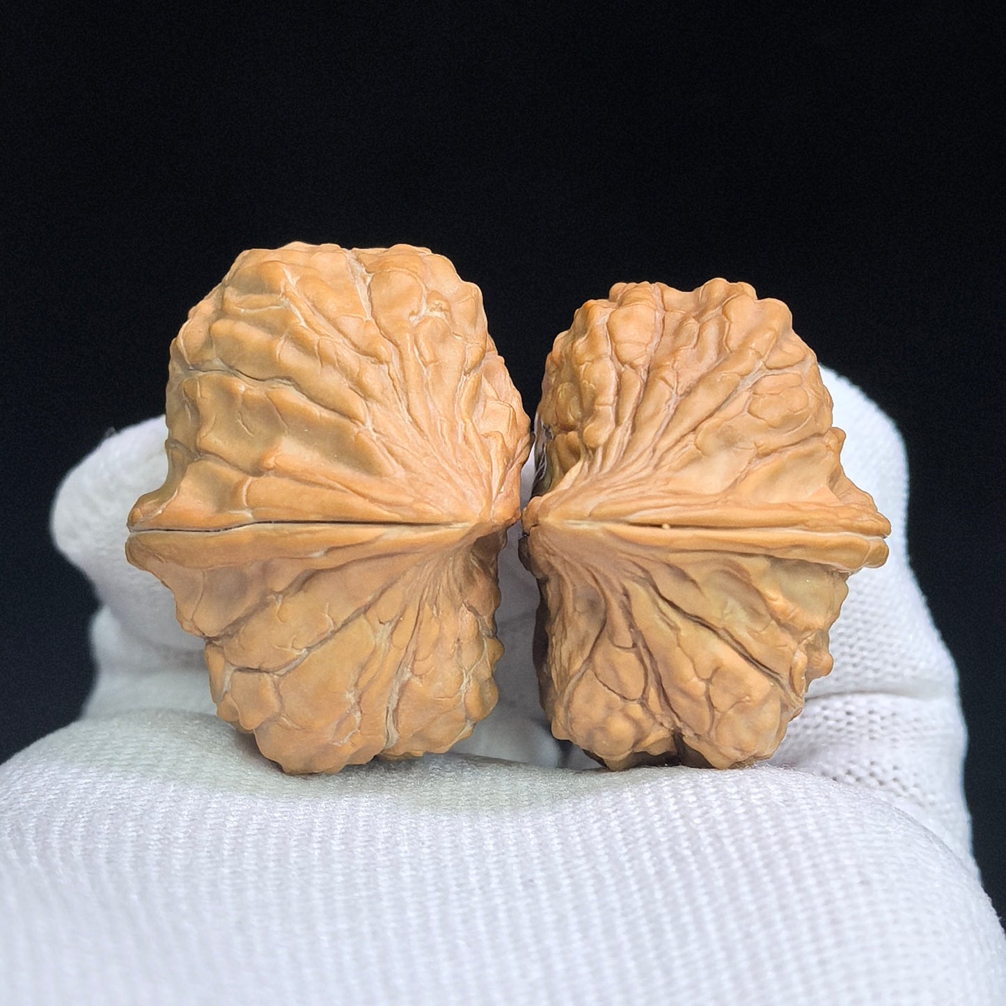 "Tortoise-Shell Hawk-Beak Half-Wall" (Gui Jia Wen Ying Zui Ban Bi) Scholar Walnuts Pair | Same-Fruit Biological Twin Pair | 26.0mm x 35.0mm | Miniature Pocket Format (Shou Nian) | Stock ID: GJW-SY1B7