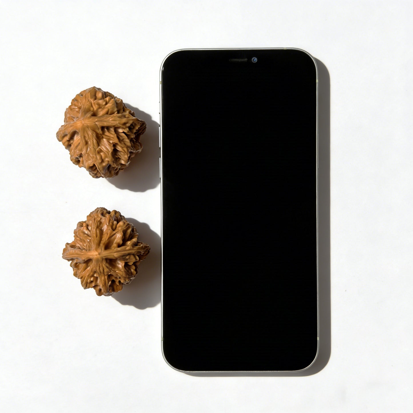 The "Chicken Heart" (Ji Xin) Pair | Collector Grade | 37.0mm x 42.0mm | JX-401C