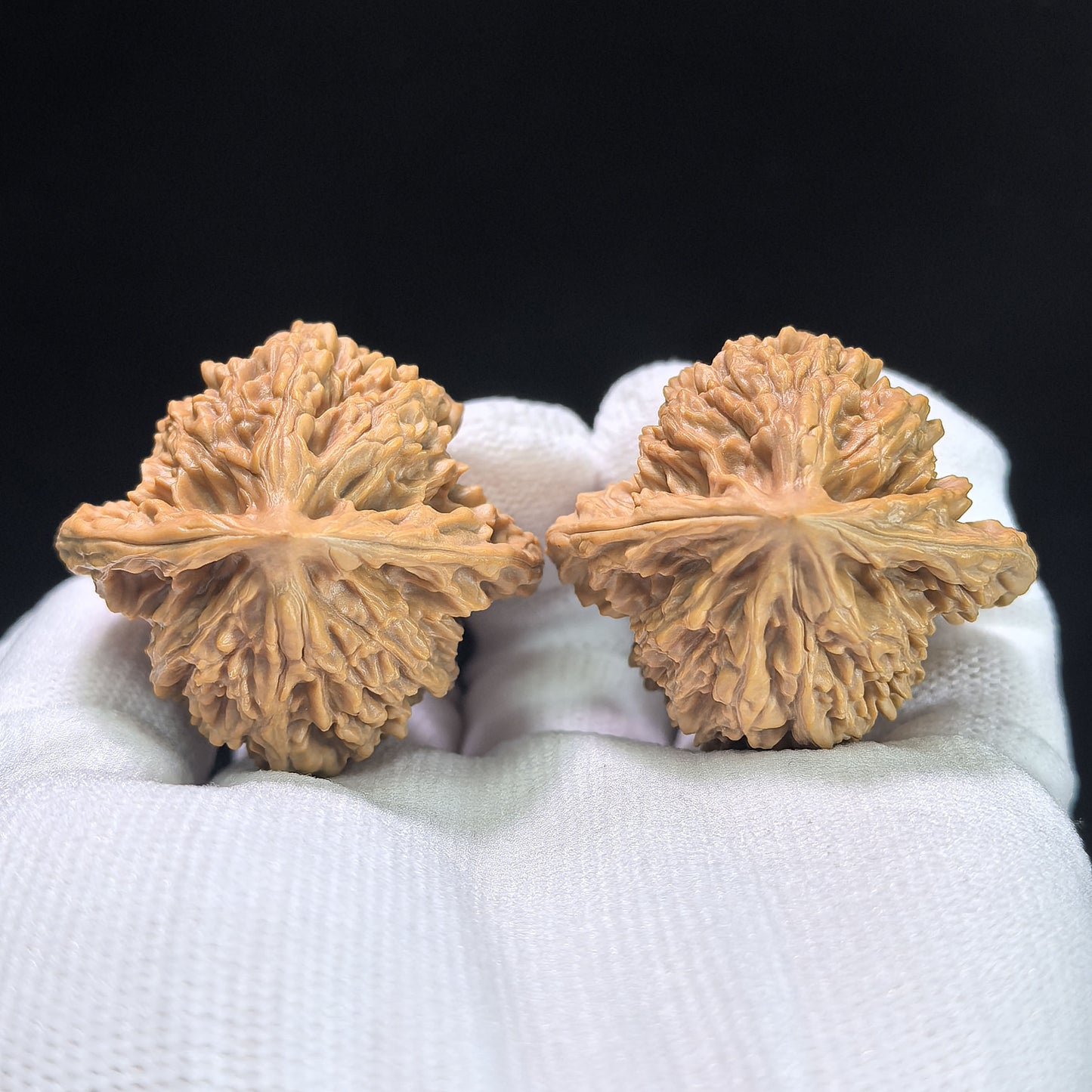 "Xiayun Ridge" Xiayunling Wenwan Walnuts (Pair) | 40.0mm x 38.0mm | Stock ID: XYL-1103