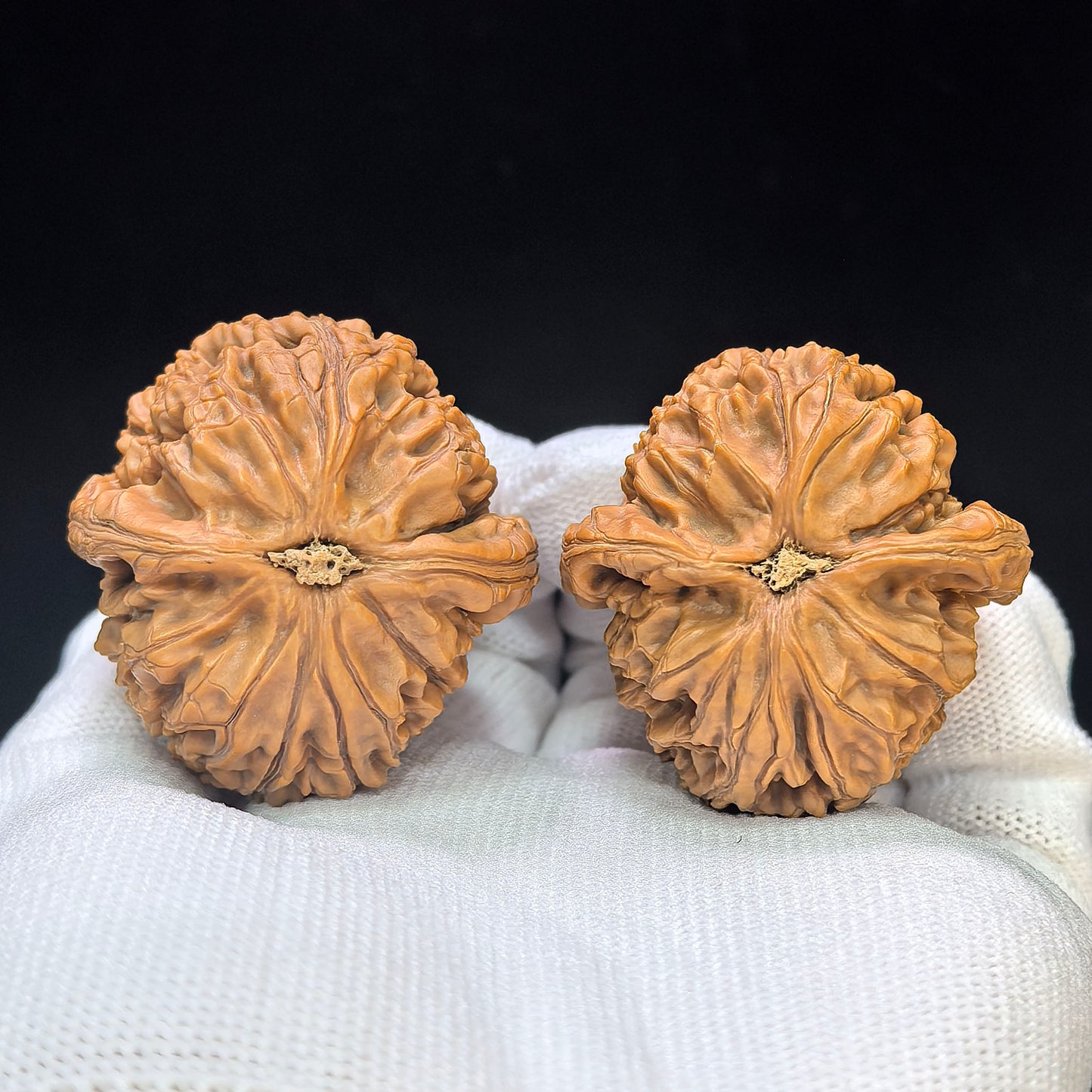 "Water Dragon Texture" Shuilongwen SLW-1501C Low-Profile Wenwan Walnuts Pair | 40.0mm x 41.0mm | SLW-1501C