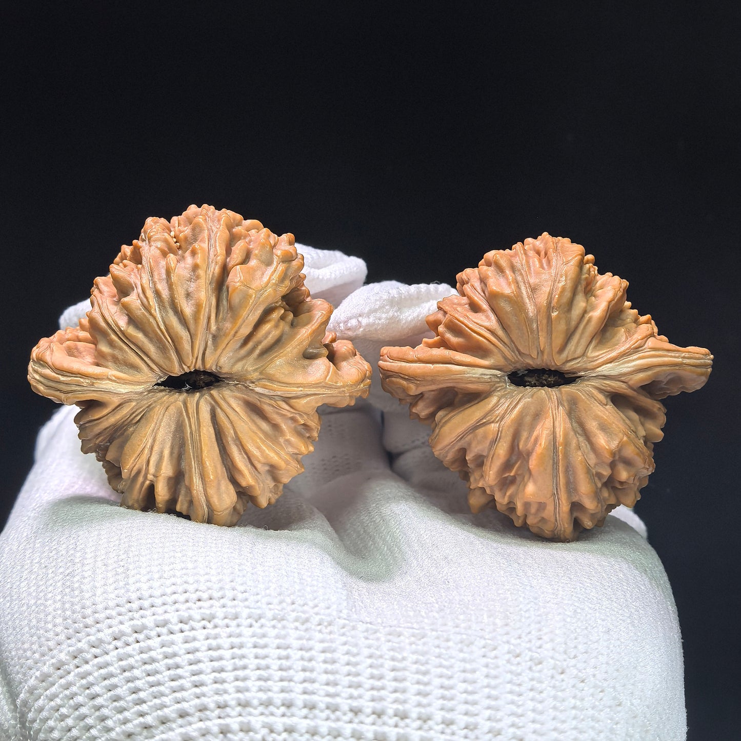 "Four-Seat Tower" Sizhoulou SZL-1406 Low-Profile Wenwan Walnuts Pair | 41.0mm x 40.0mm | SZL-1406