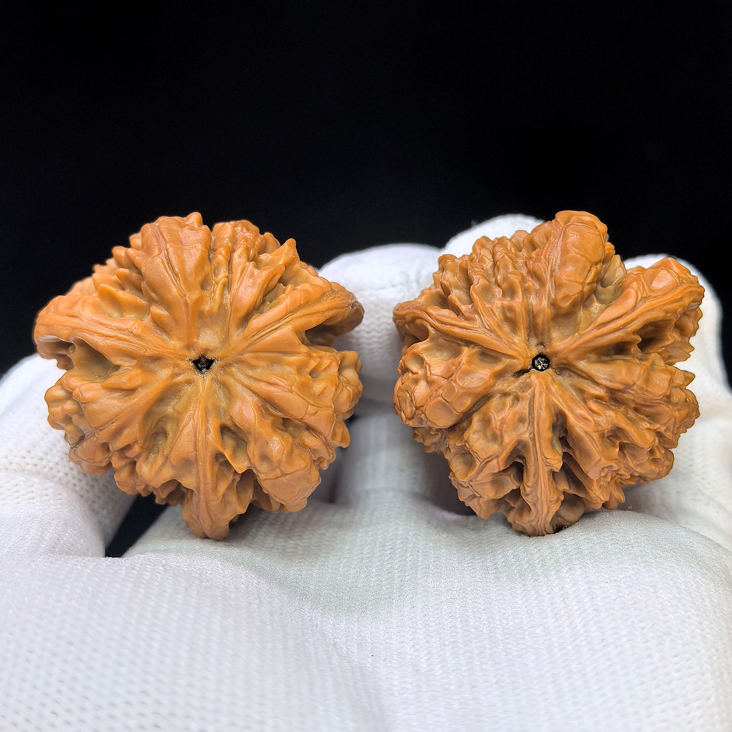 Three-Ribbed Official's Hat (Guanmao Sanling) Scholar Walnuts Pair | 38.0mm x 33.0mm | Collector Grade Masterpiece | Stock ID: GM-801S