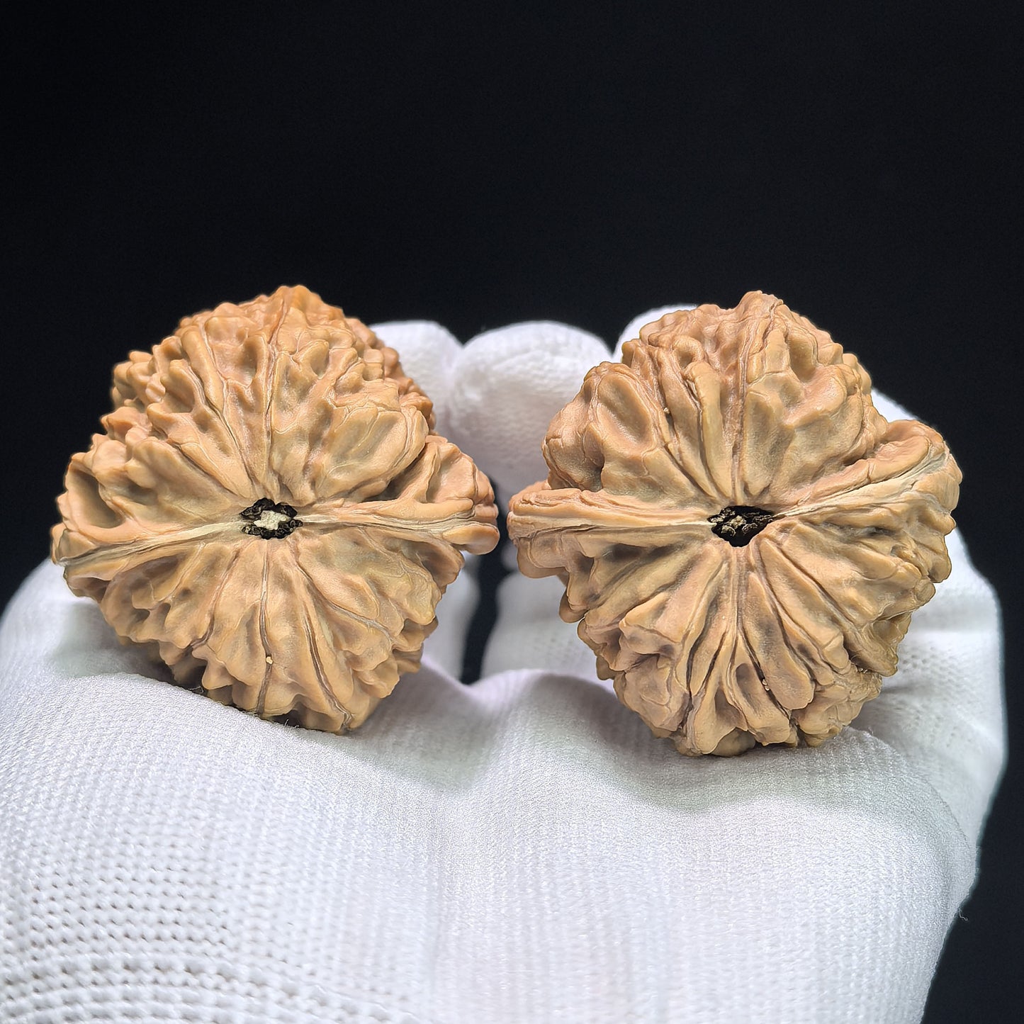 "Stone Door-Knocker Hawk Beak" Mendun Yinggouzui Wenwan Walnuts Pair | 41.0mm x 43.0mm | MD-1403