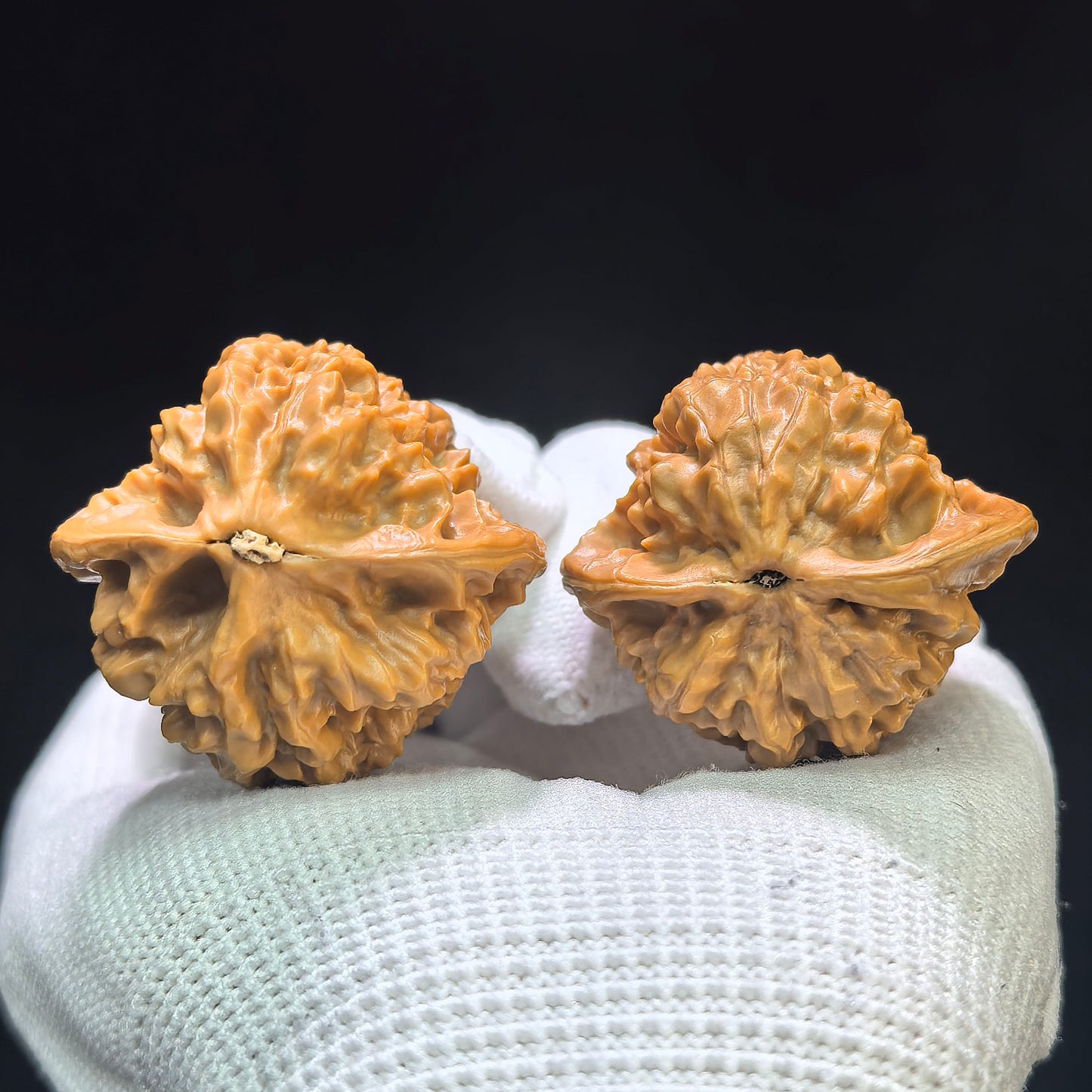 "Gecko x Luohan Head Hybrid" Bihou Luohantou BHLHT-1601 Low-Profile Wenwan Walnuts Pair | 37.0mm x 35.0mm | BHLHT-1601