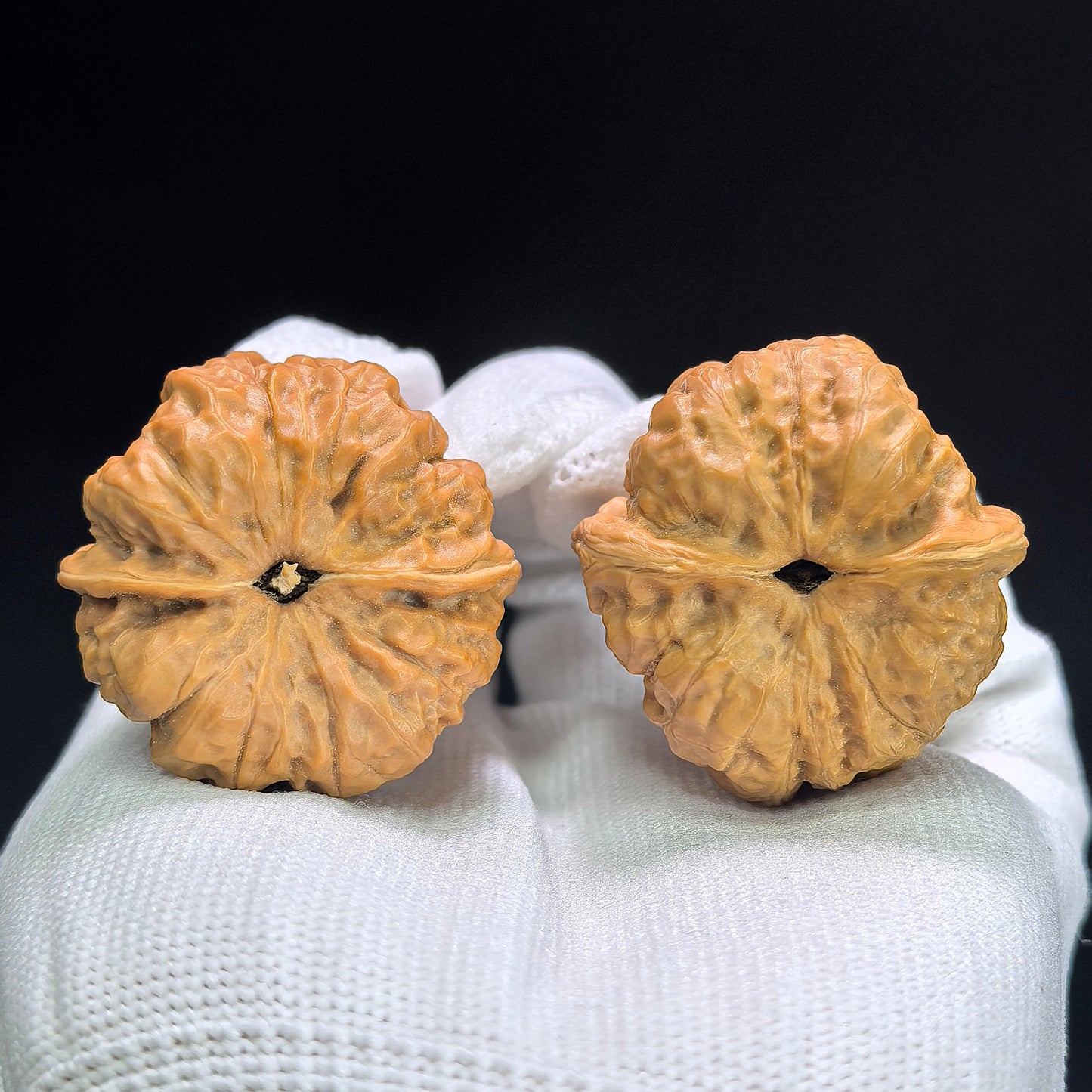 "Crystal Frog" Shuijingwa Wenwan Walnuts (Pair) | 36.0mm x 38.0mm | Stock ID: W-1401