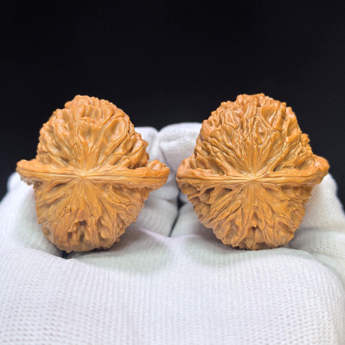 "White Lion Half-Wall" Baishizi Banbi Wenwan Walnuts Pair | 40.0mm x 41.0mm | BSJBB-C236E