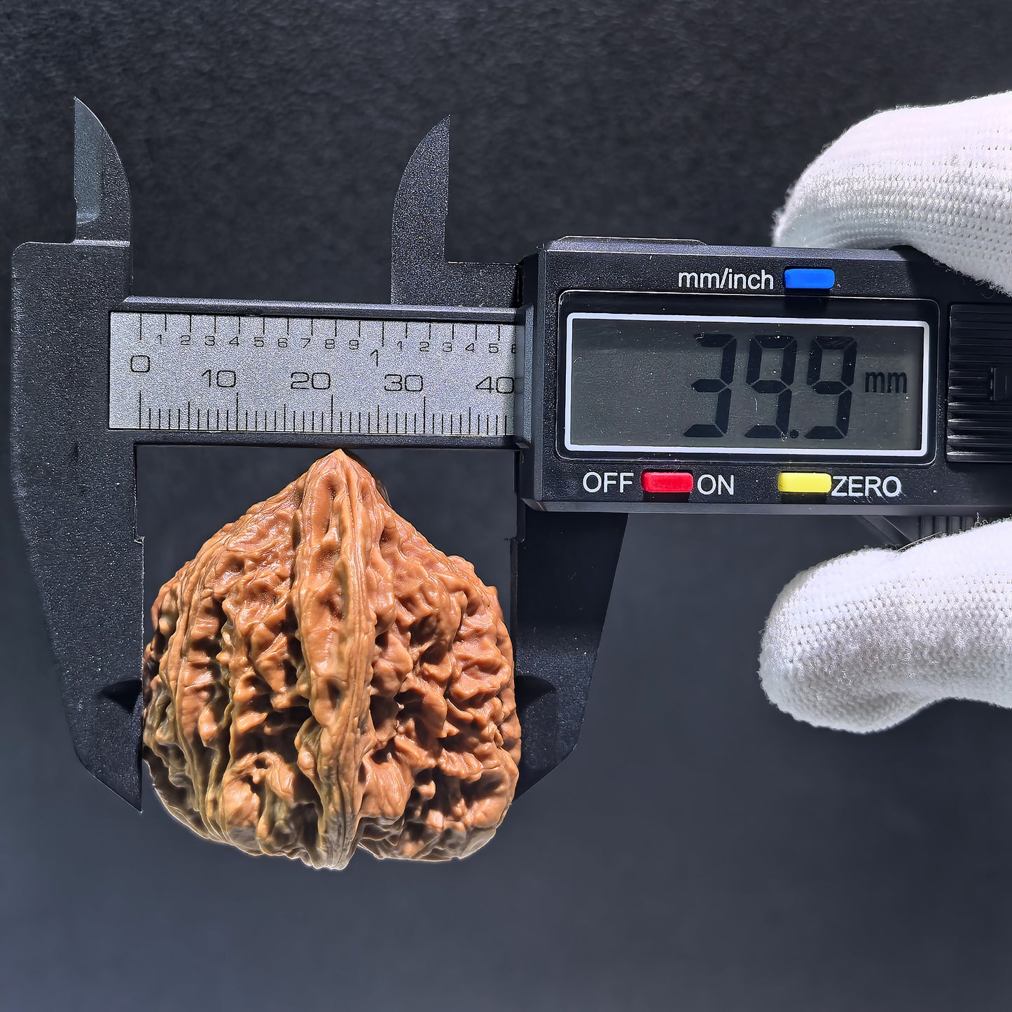 The "Nine Dragons Thick Ridge" (Jiu Long Yu Cu Jin) Pair | 40.0mm x 42.0mm | CJ-401