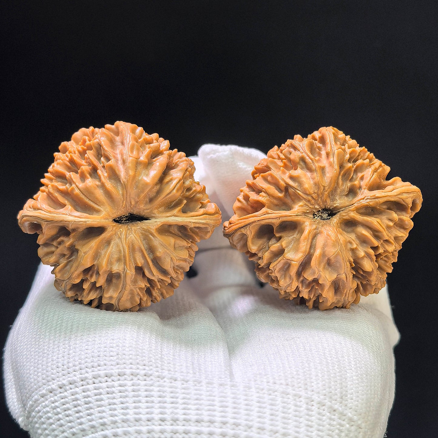 "Jade Kylin" Yuqilin Wenwan Walnuts (Pair) | 51.0mm x 46.0mm | Stock ID: YQL-1102