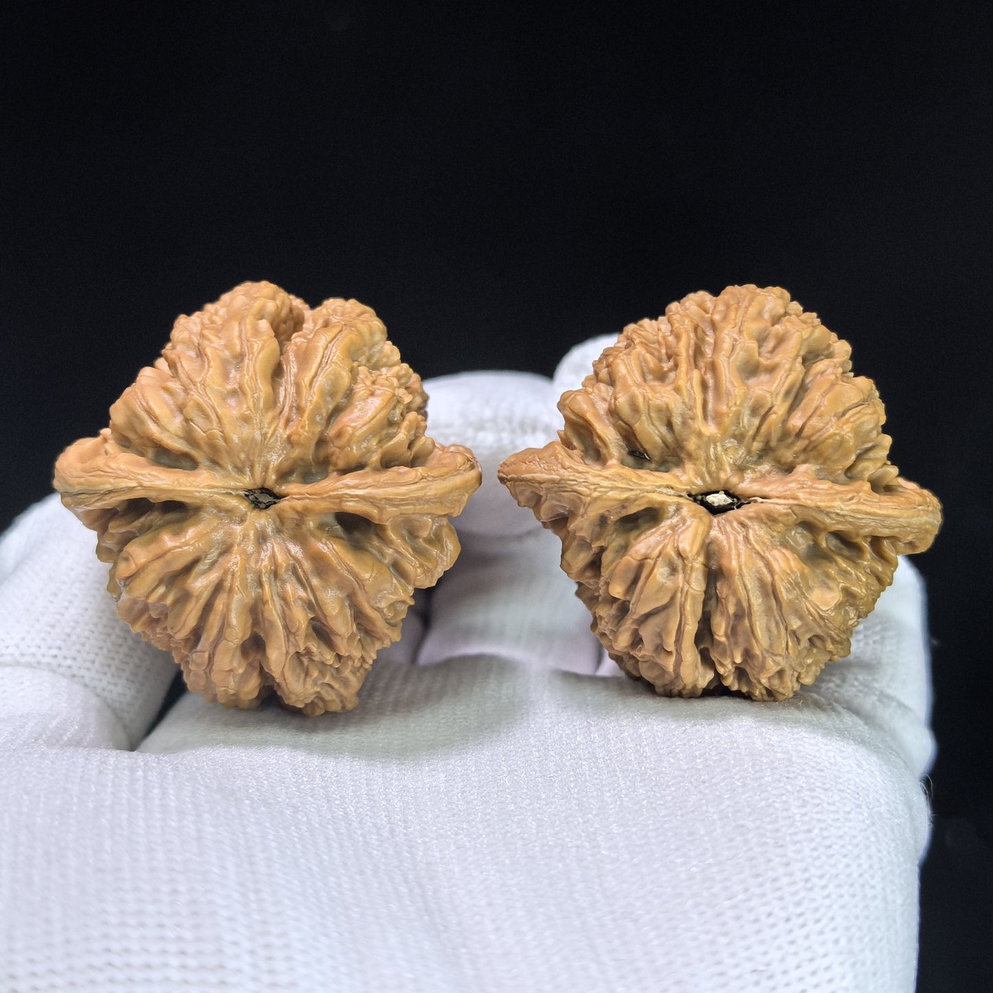 "North China General Shoulder" Huabei Jiangjunbang Wenwan Walnuts (Pair) | 40.0mm x 40.0mm | Stock ID: HBJJB-1104