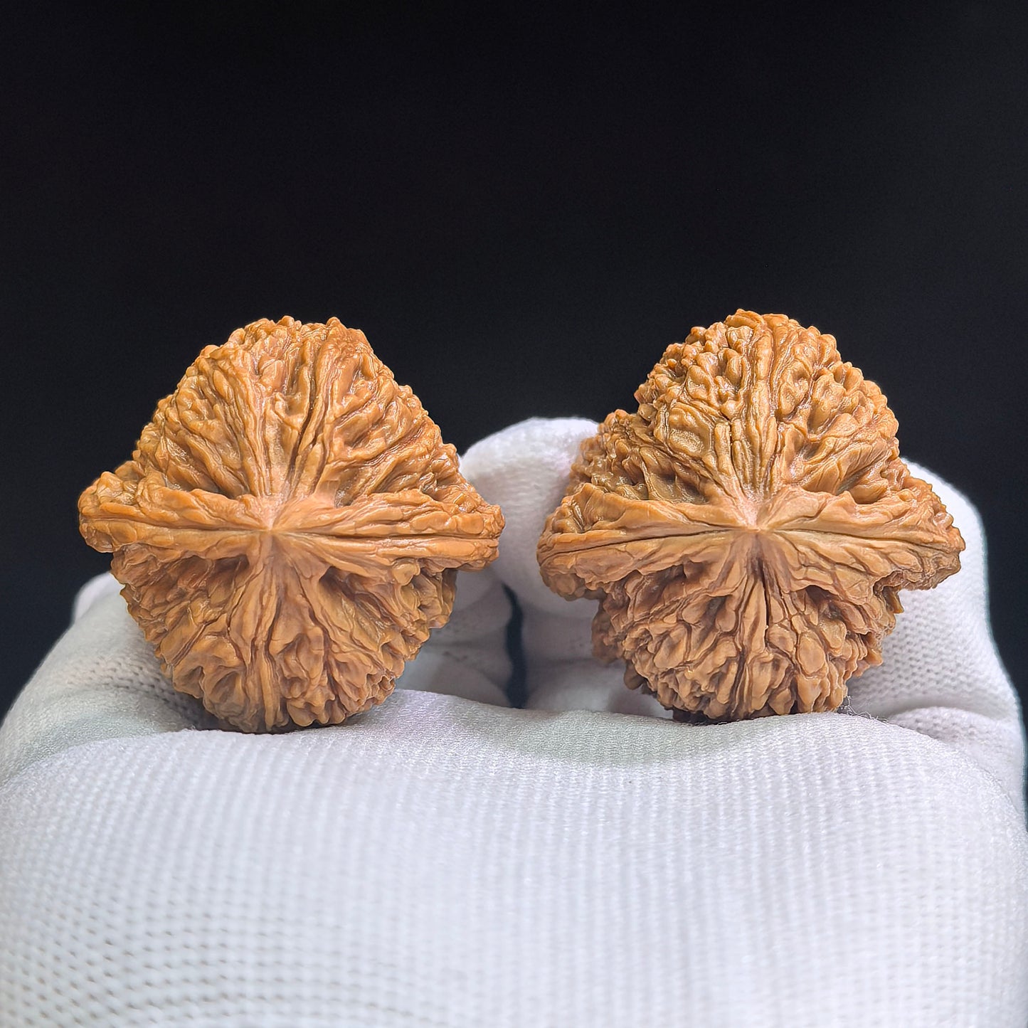 "Nanjiangshi Lionhead" Nanjiangshi NJS-SY1A5 Low-Profile Wenwan Walnuts Pair | 40.0mm x 41.0mm | NJS-SY1A5