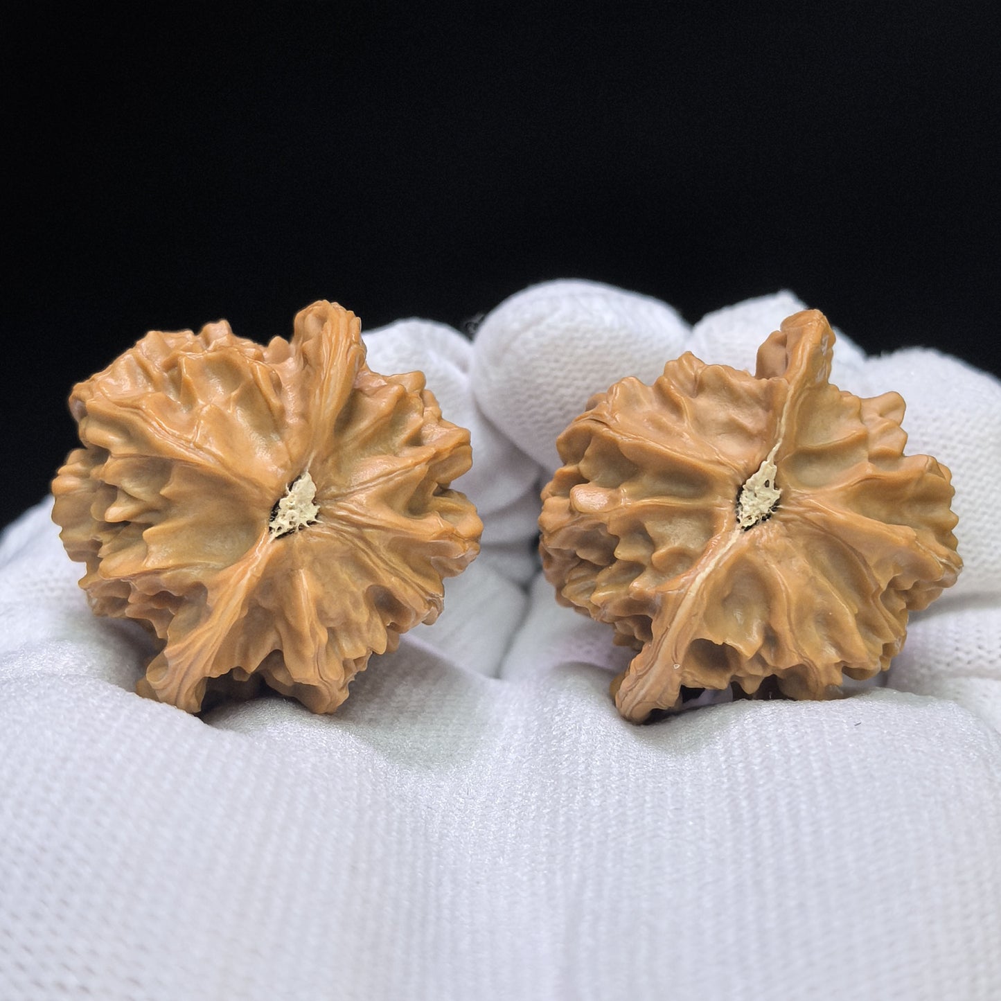 "Little Bird" Xiaoniao Wenwan Walnuts Pair | 34.0mm x 33.0mm | YL-01SY