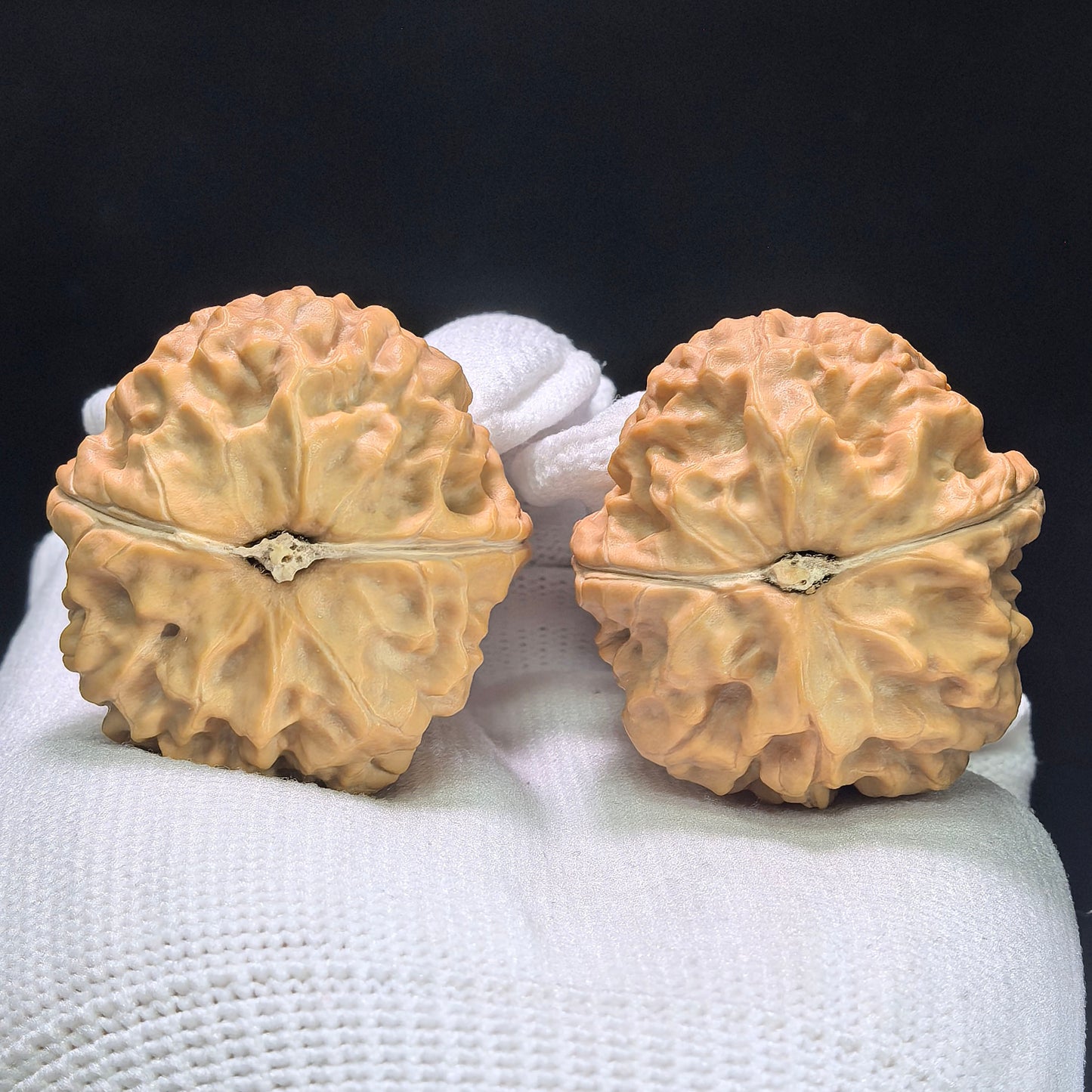 "Golden Toad Vessel" Jinchanzun Wenwan Walnuts Pair | 35.0mm x 38.0mm | JCZ-1401