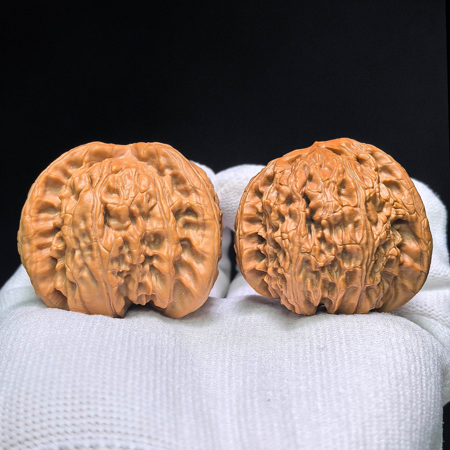 The Legendary "Fair-Wind Ear" Lion Head Masterpiece | 39.0mm x 45.0mm | SFESZT-1402E