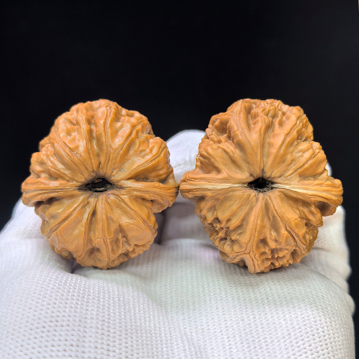 "Gold Ingot" (Yuan Bao) Scholar Walnuts Pair | 38.0mm x 42.0mm | Deep-Belly Low-Profile Stance | Stock ID: YB-SY1C8